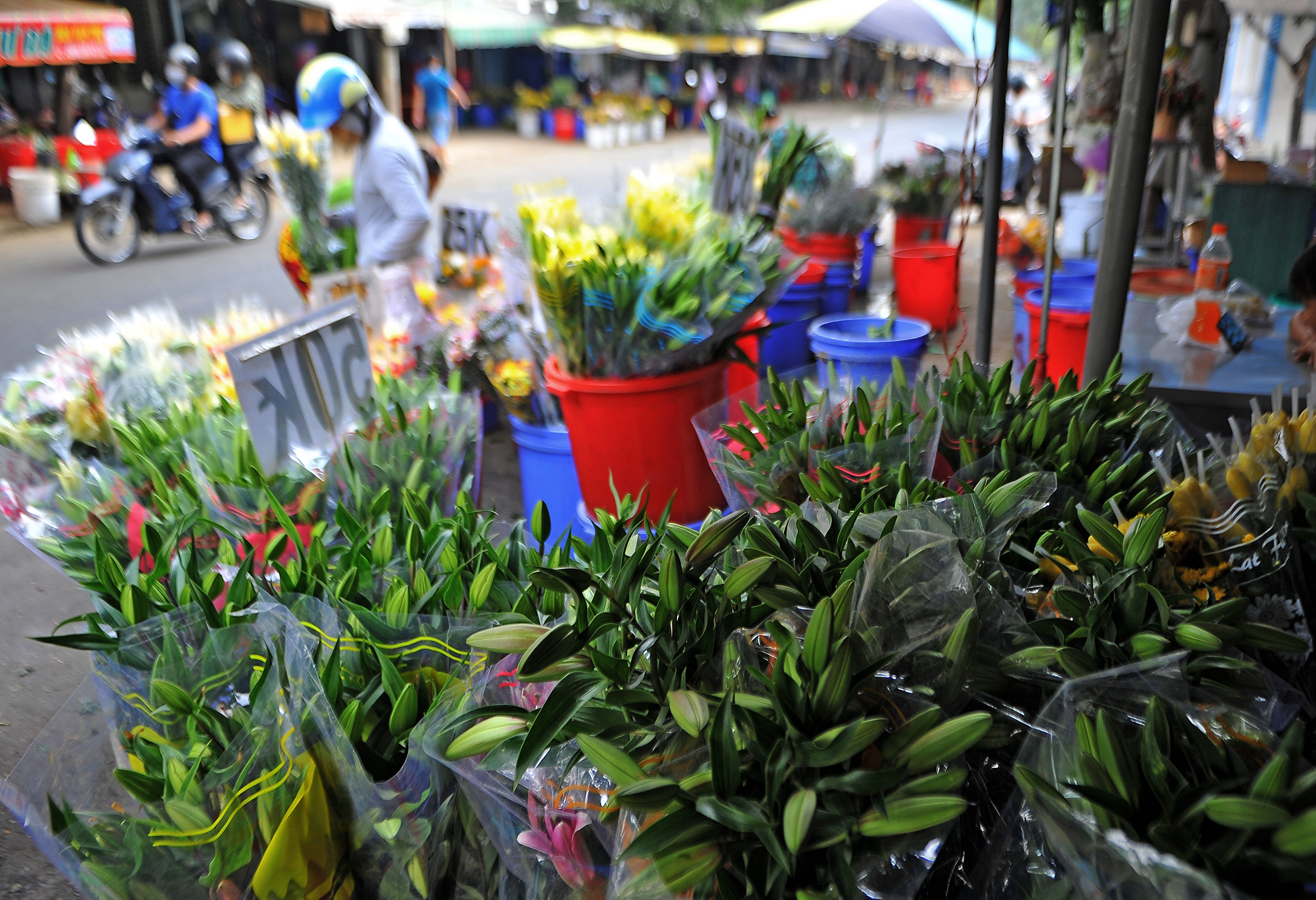 cho hoa TP.HCM vang nguoi mua du gia giam manh anh 4