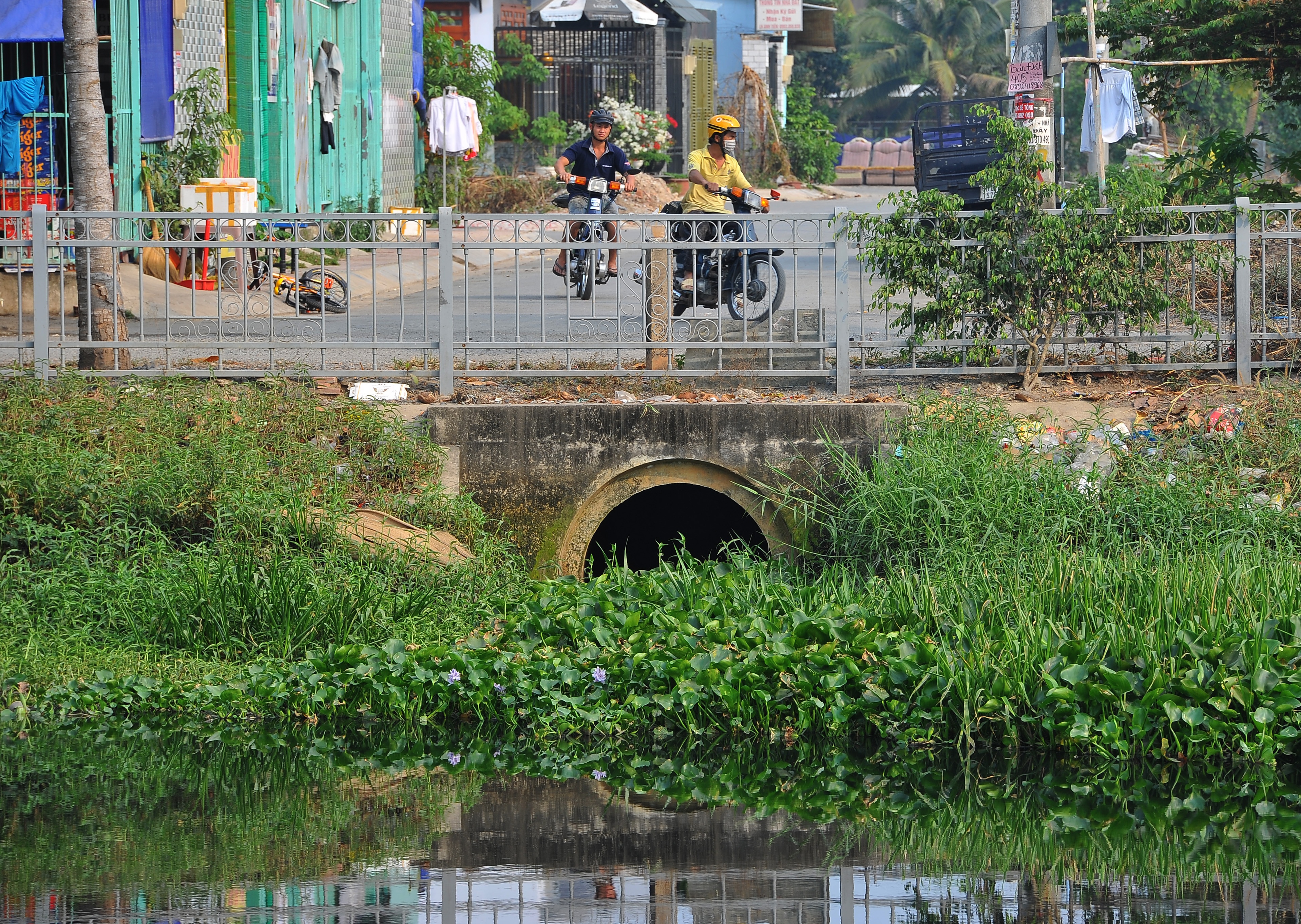 Kenh Ba Bo keu cuu anh 8