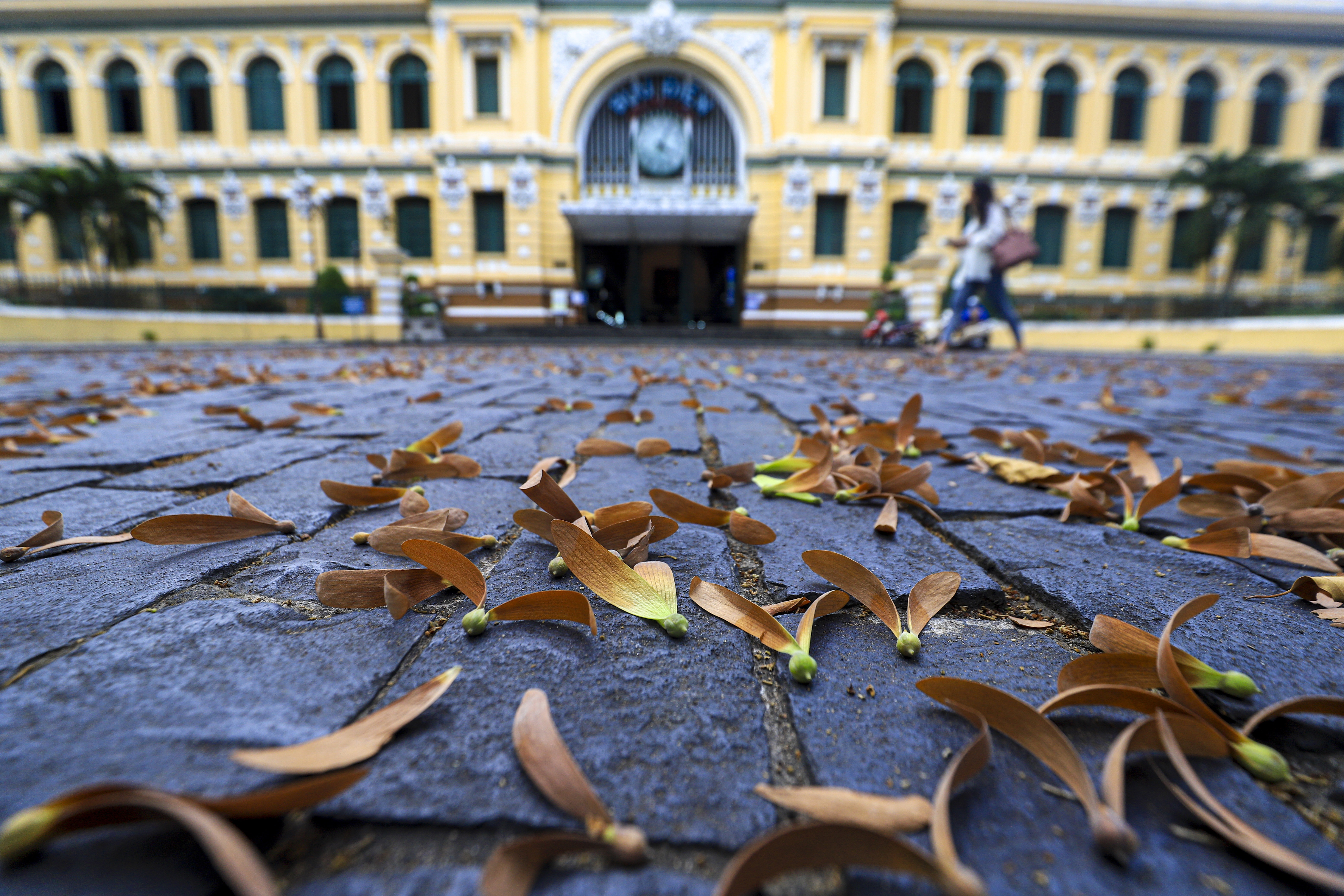 Hoa cho o Sai Gon anh 19