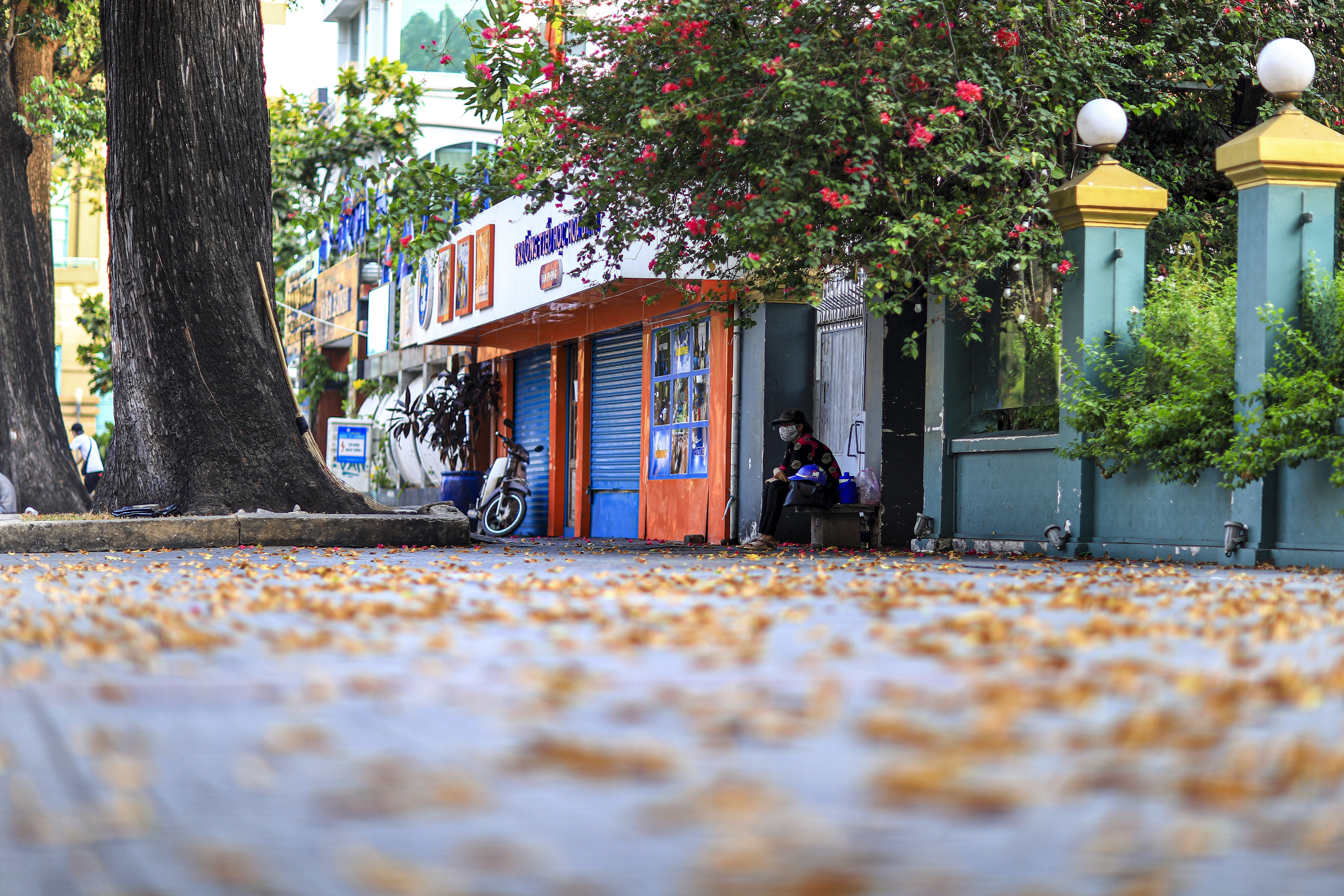 Hoa cho o Sai Gon anh 27