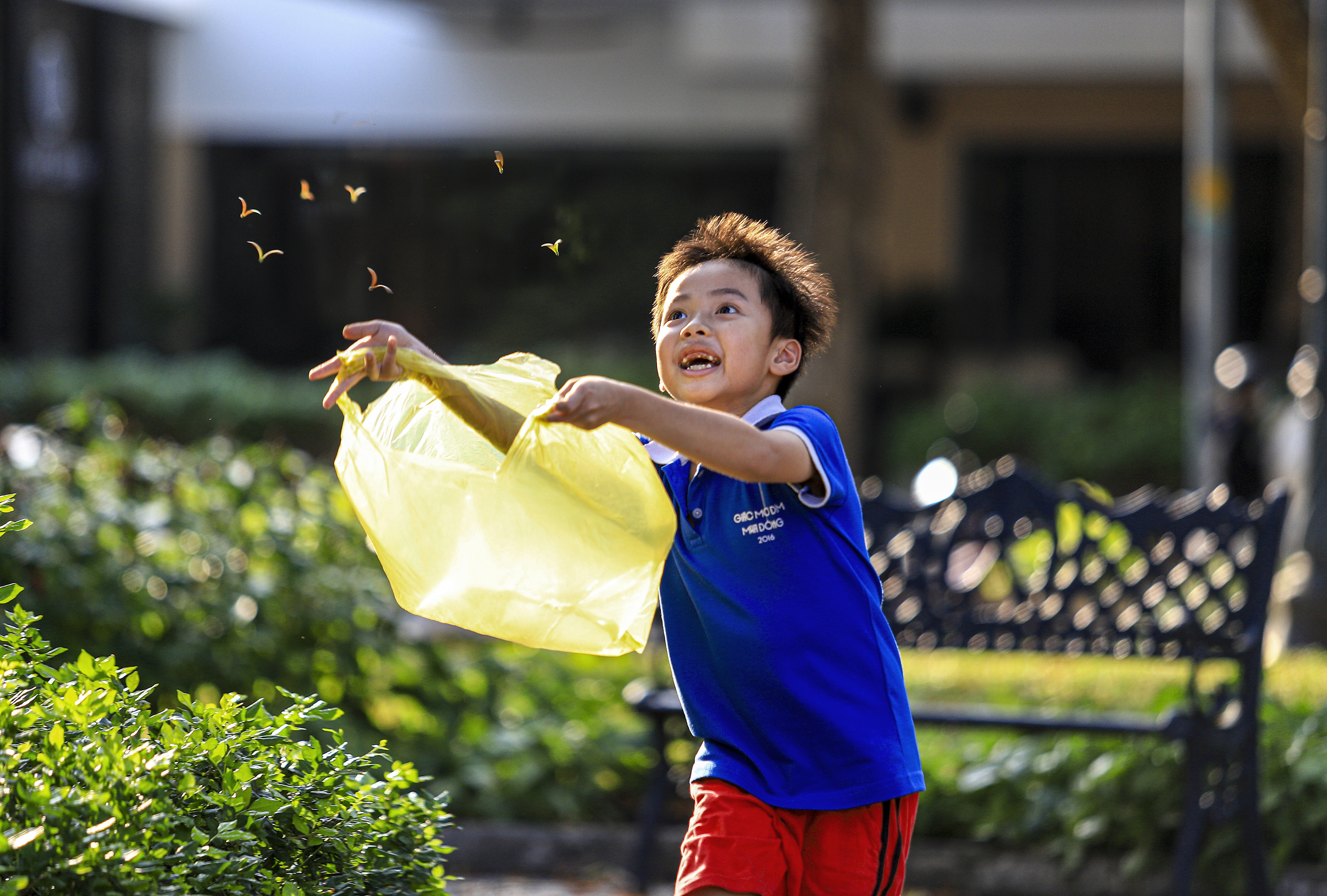Hoa cho o Sai Gon anh 10