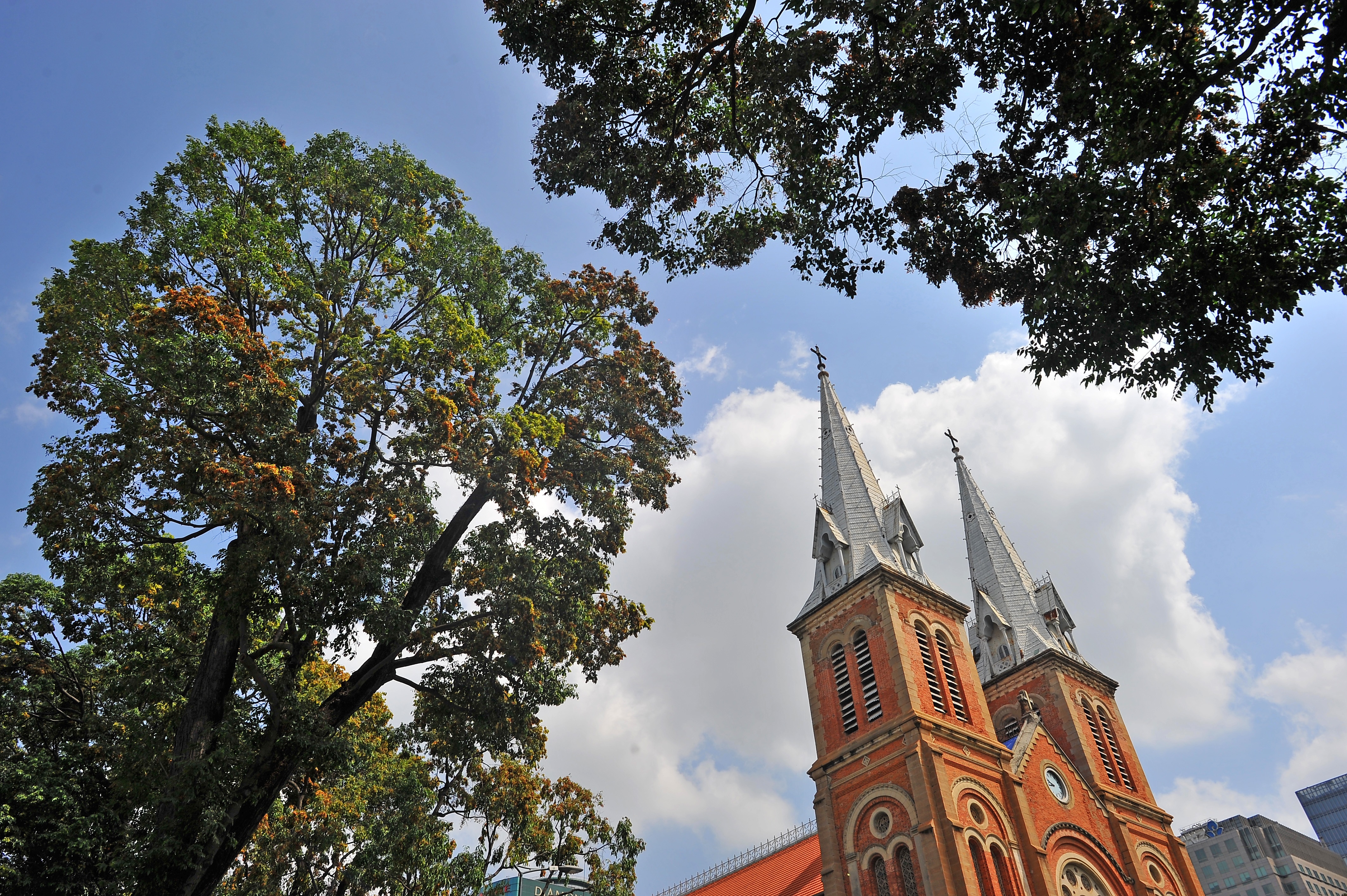 Hoa cho o Sai Gon anh 9