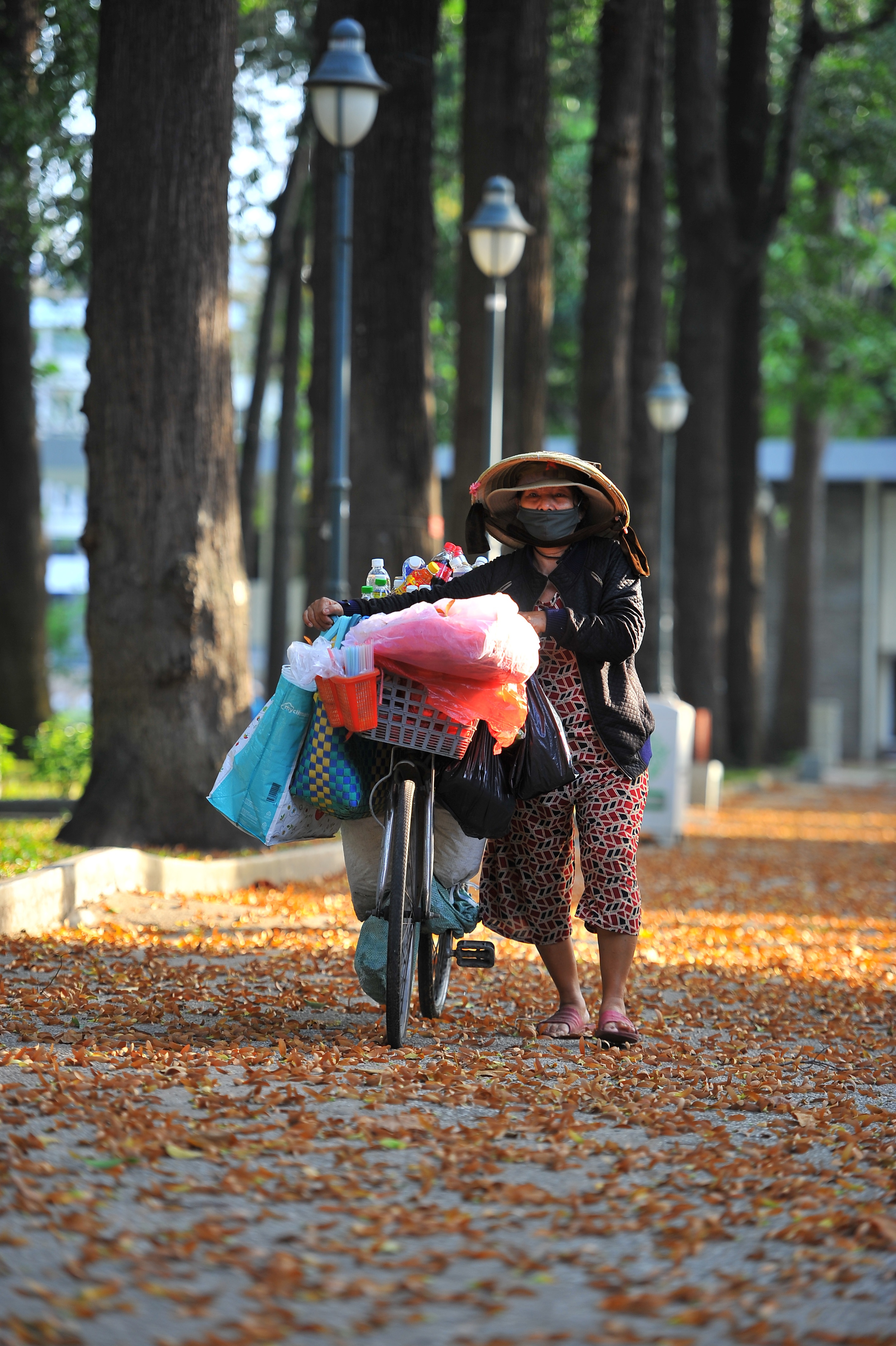 Hoa cho o Sai Gon anh 14