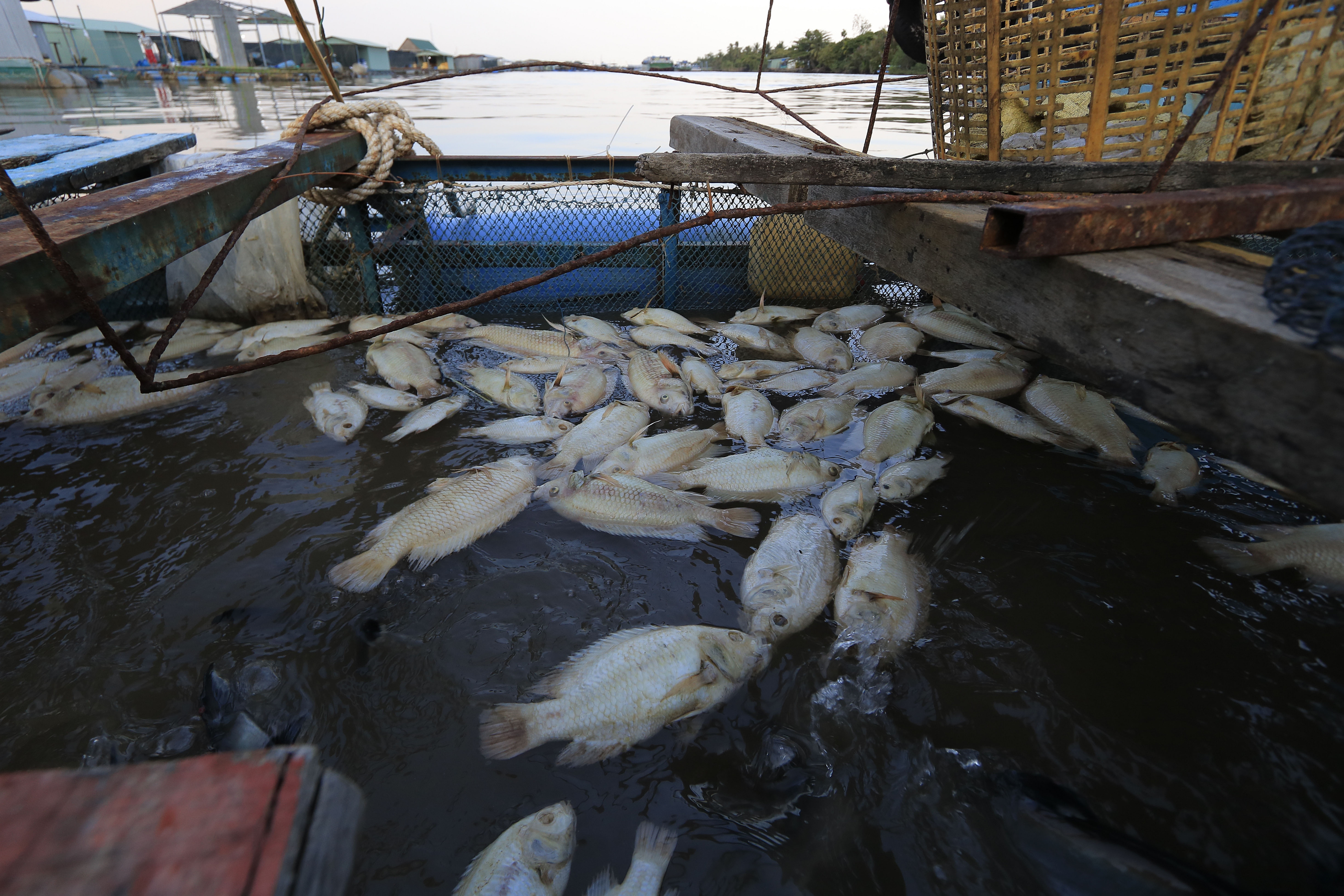 Ca long be chet lien tuc vi xam nhap man hinh anh