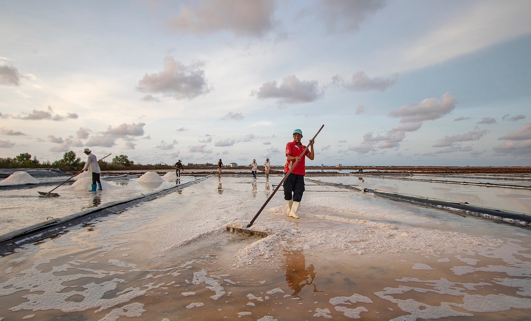 Diem dan Bac Lieu lo lang vi muoi rot gia anh 2