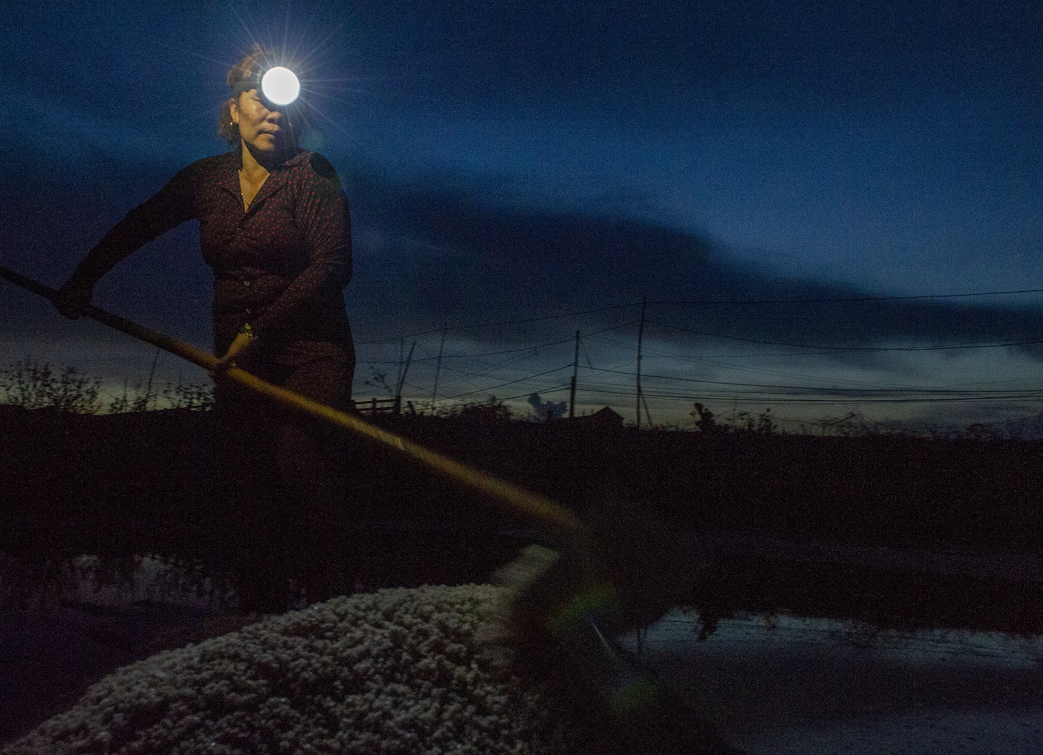 Diem dan Bac Lieu lo lang vi muoi rot gia anh 25