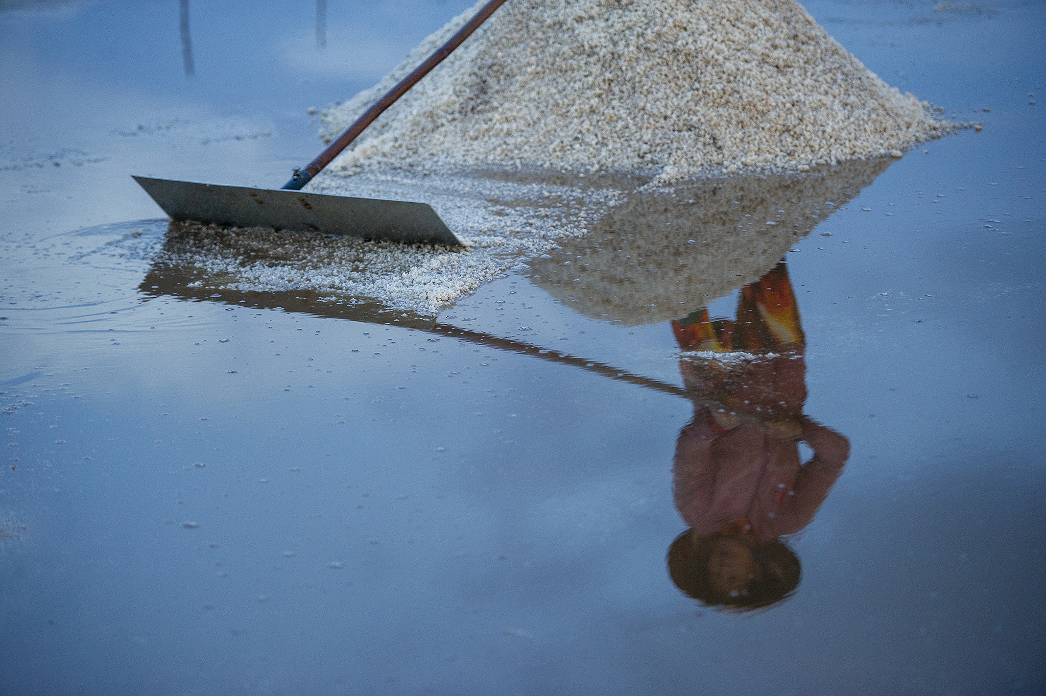 Diem dan Bac Lieu lo lang vi muoi rot gia anh 33