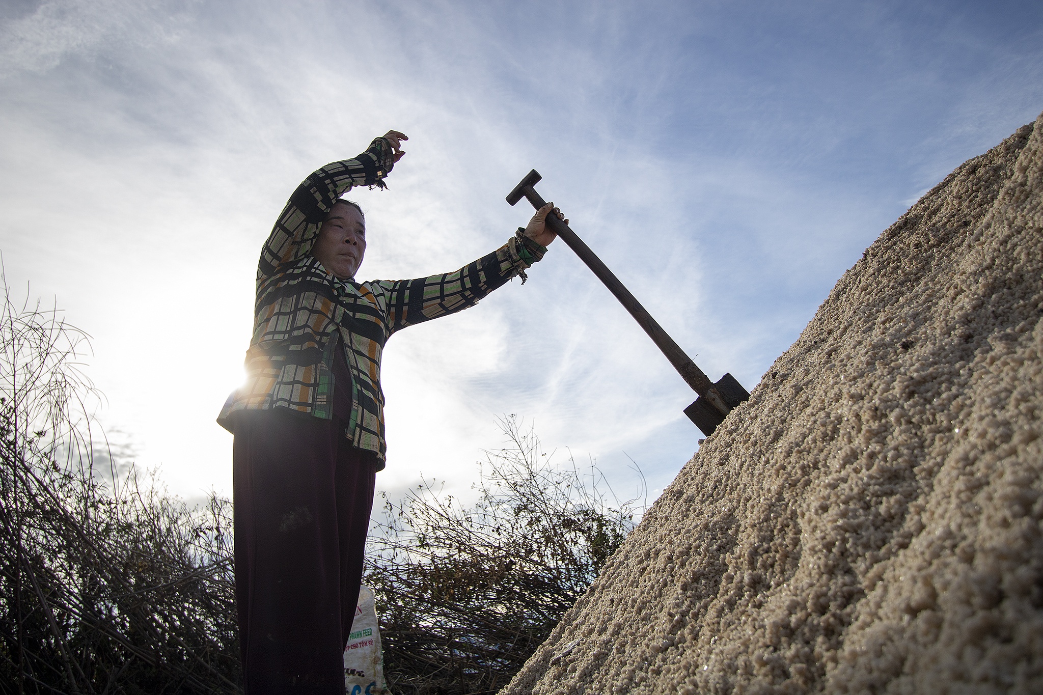 Diem dan Bac Lieu lo lang vi muoi rot gia anh 27