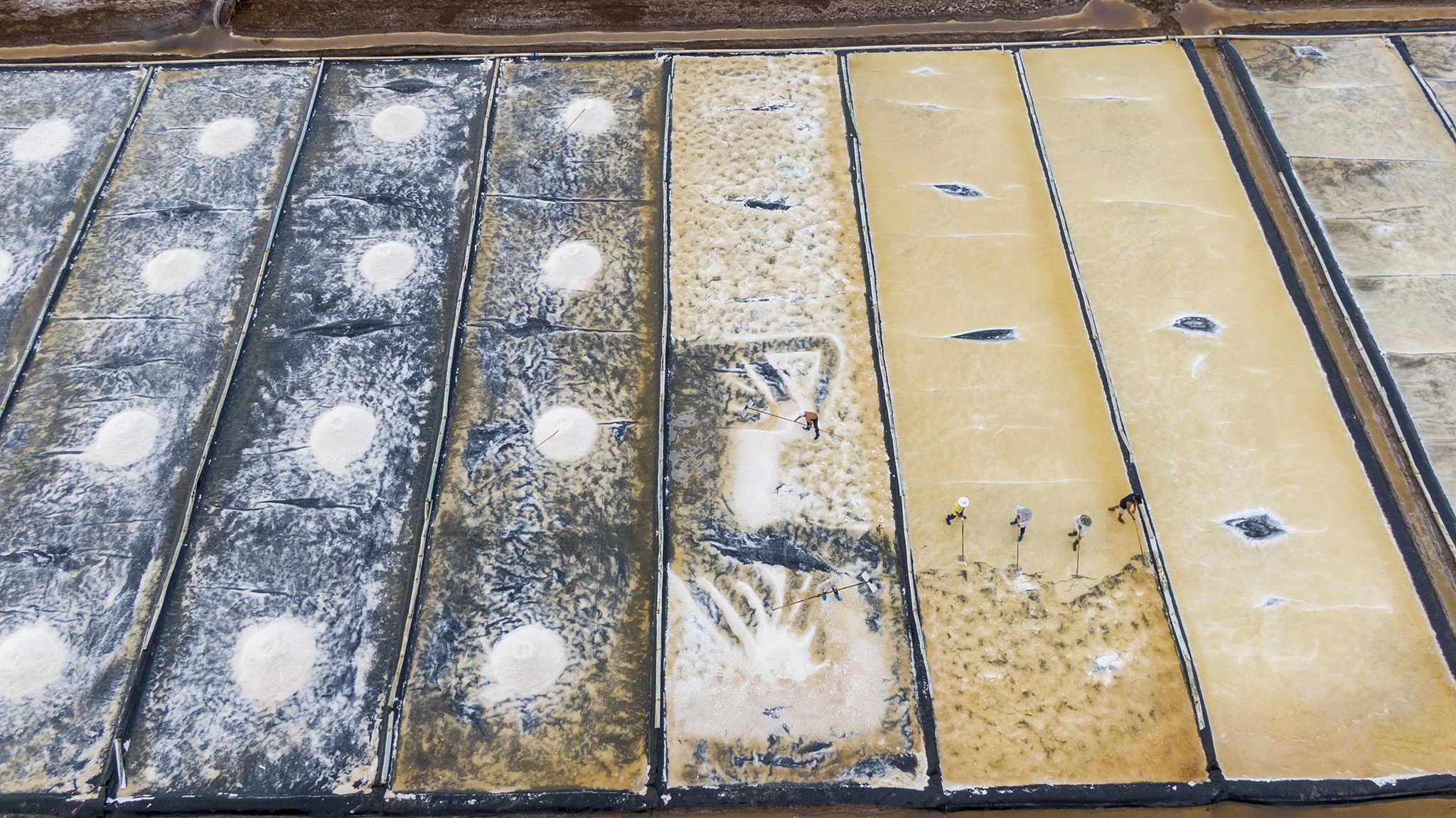 Diem dan Bac Lieu lo lang vi muoi rot gia anh 19