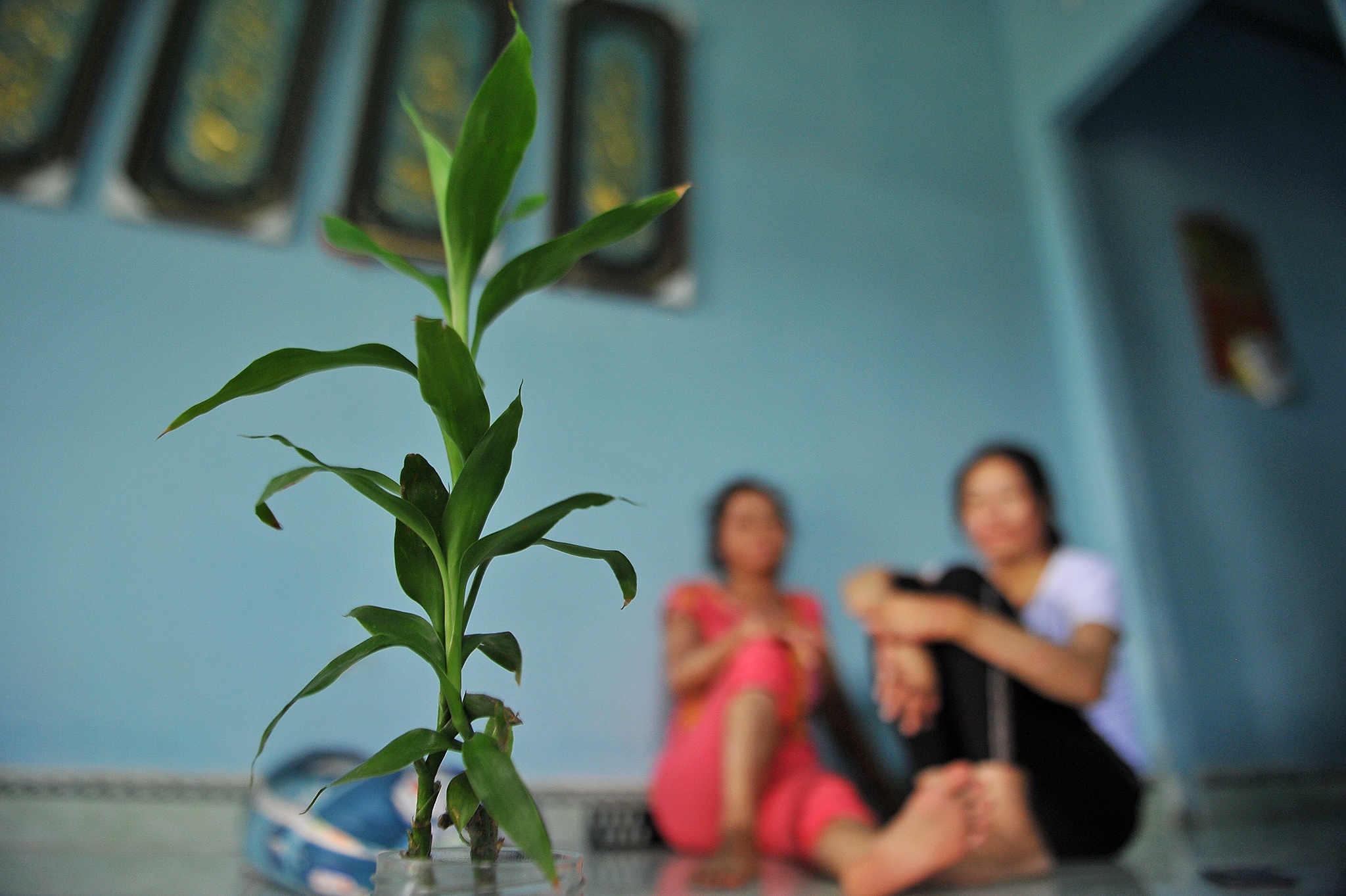 vo bi chong tuoi xang dot anh 14