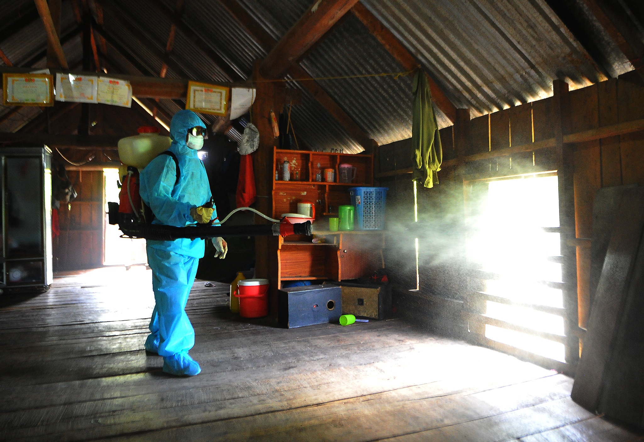 Benh bach hau lan rong o Tay Nguyen anh 13