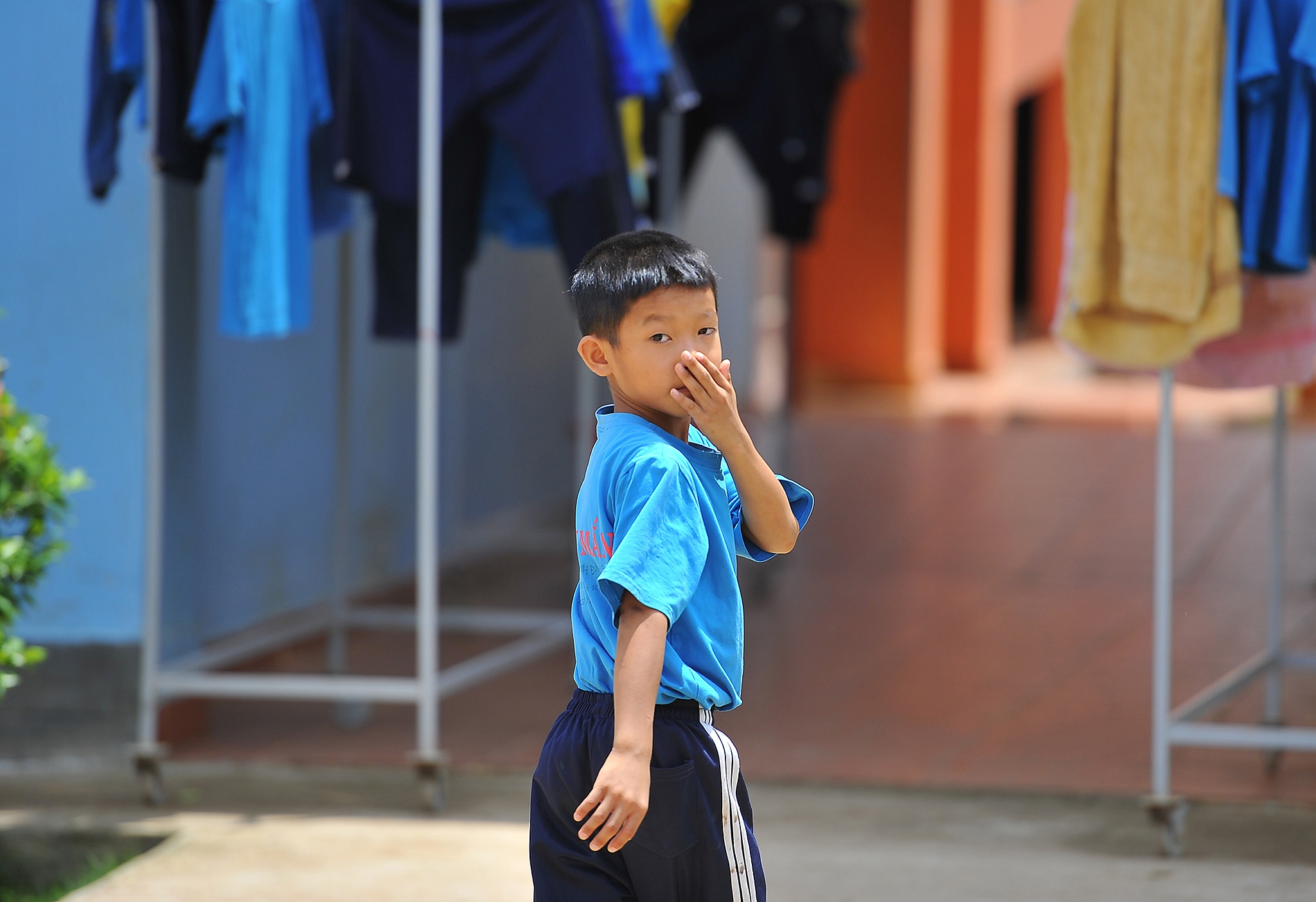 Benh bach hau lan rong o Tay Nguyen anh 27