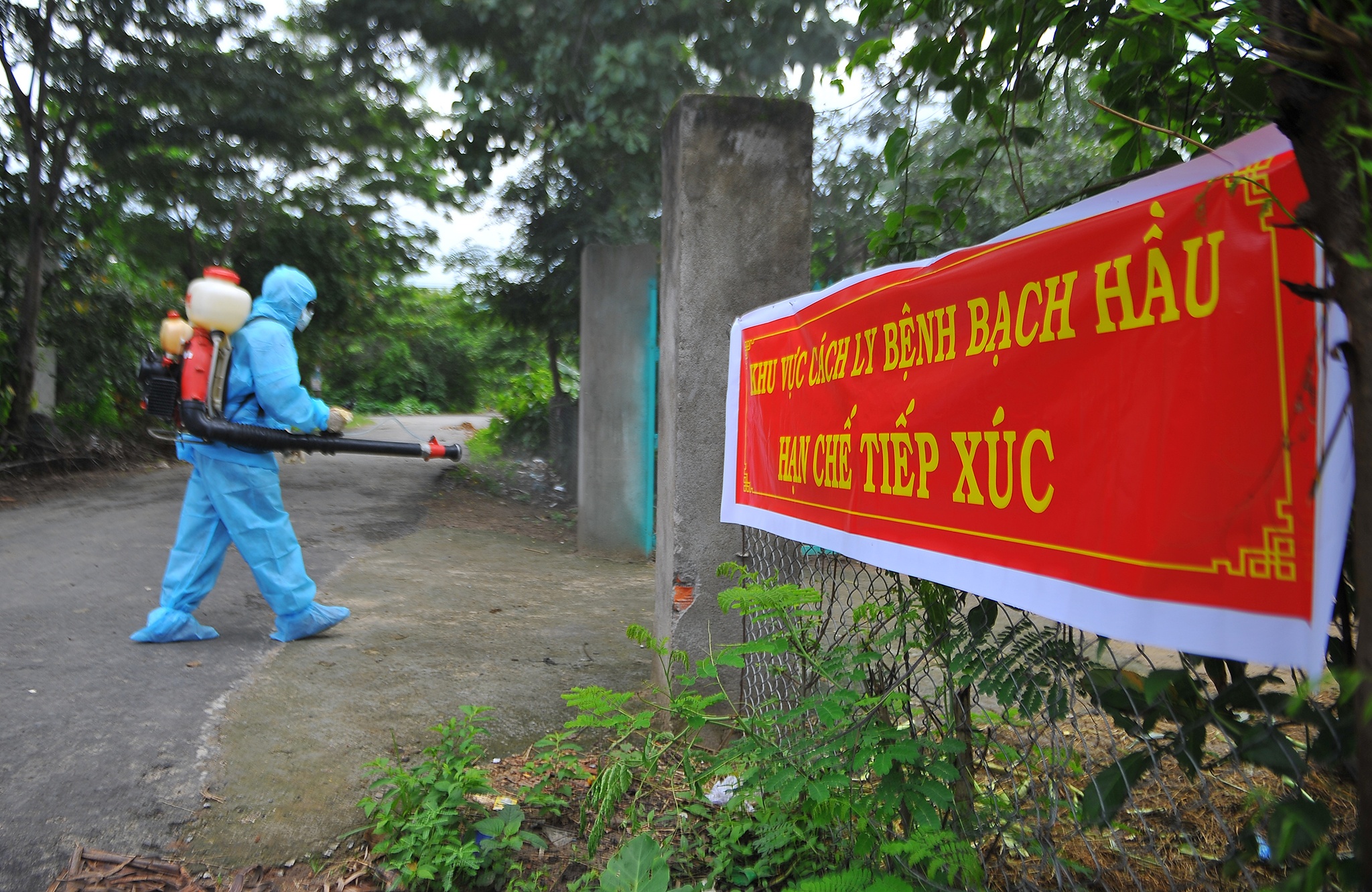 Benh bach hau lan rong o Tay Nguyen anh 14