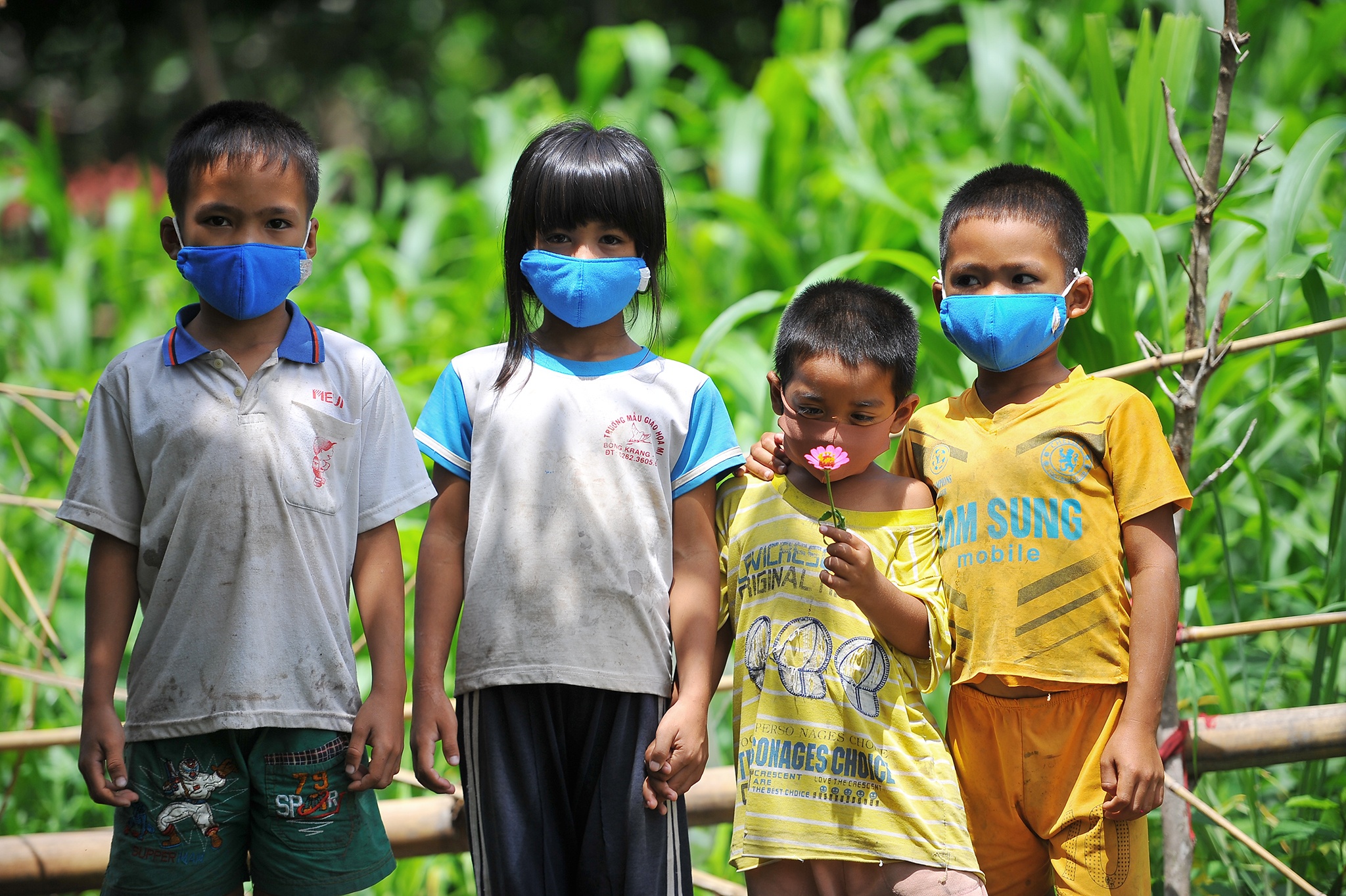 Benh bach hau lan rong o Tay Nguyen anh 12