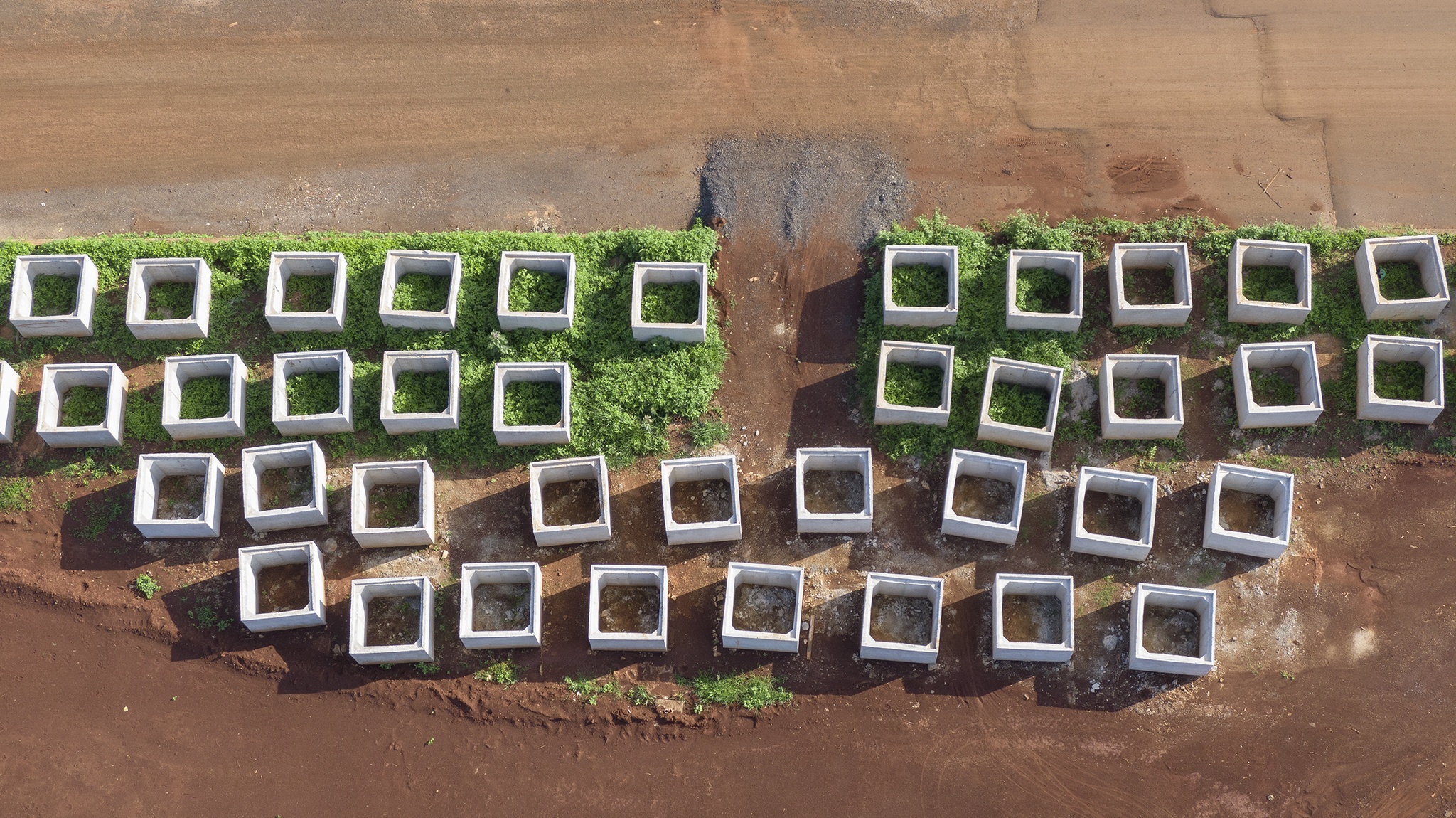 Dai lo nghin ty cham tien do anh 2