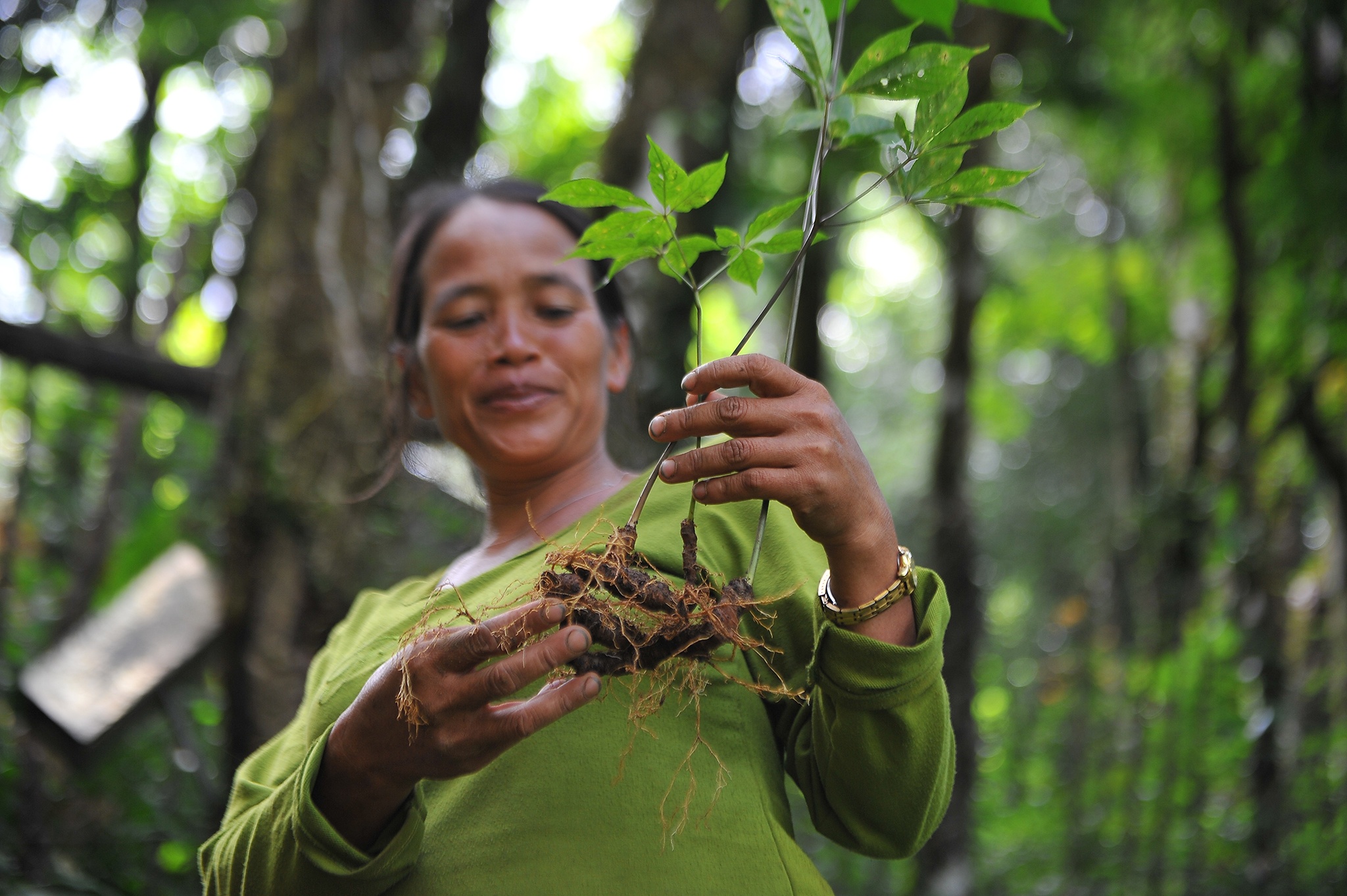 Sam Ngoc Linh anh 10