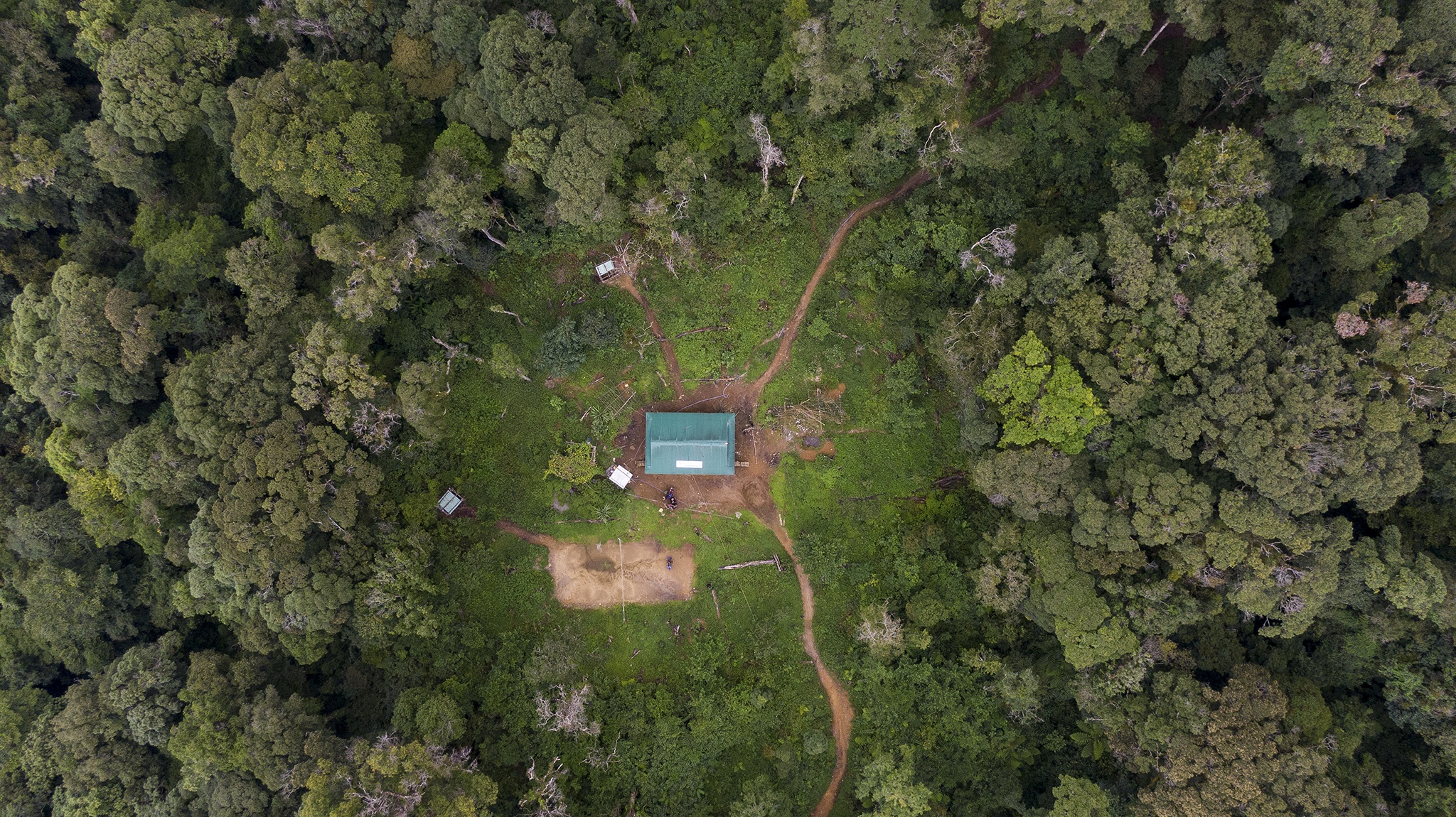 Sam Ngoc Linh anh 13