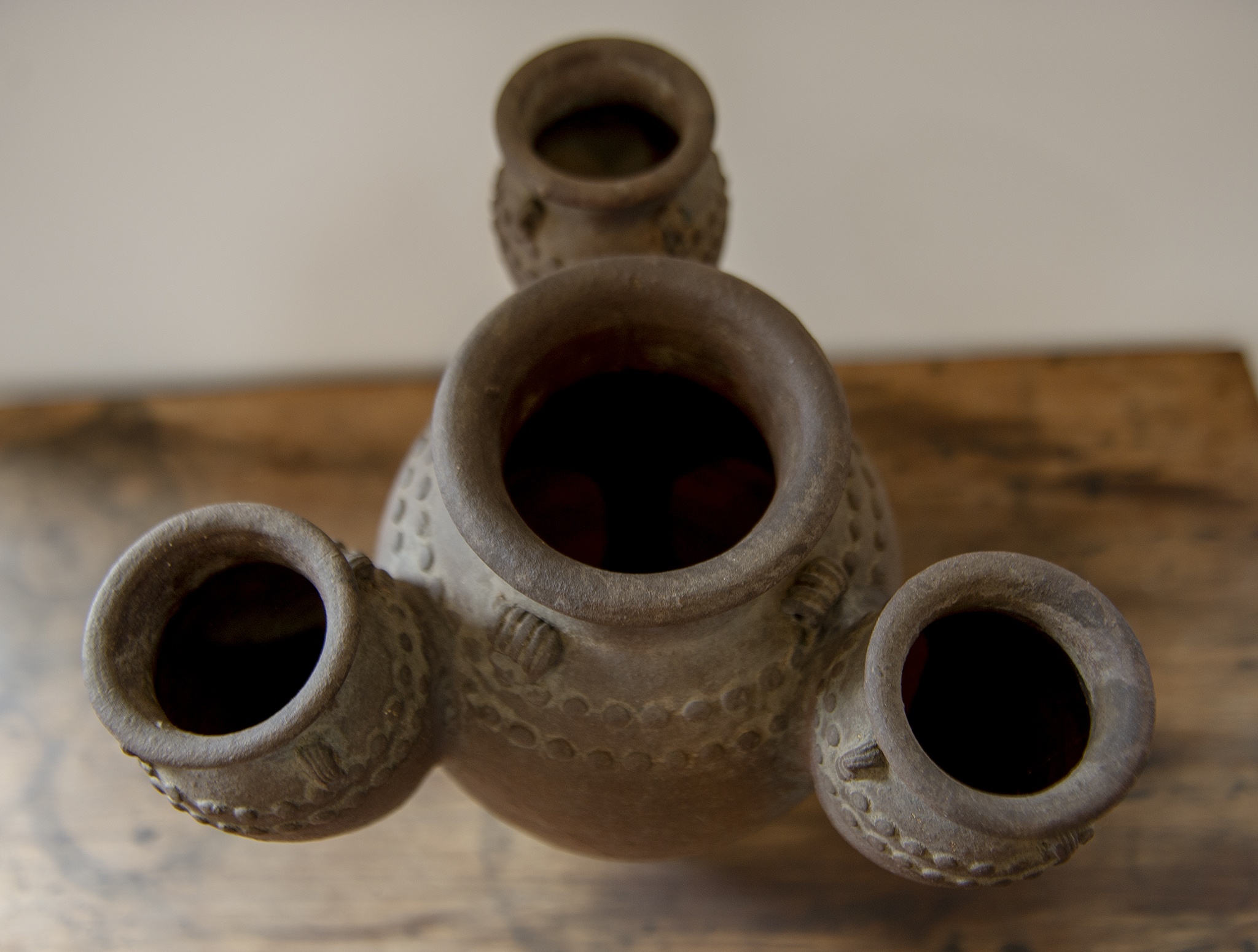 Co vat o Tay Nguyen anh 4