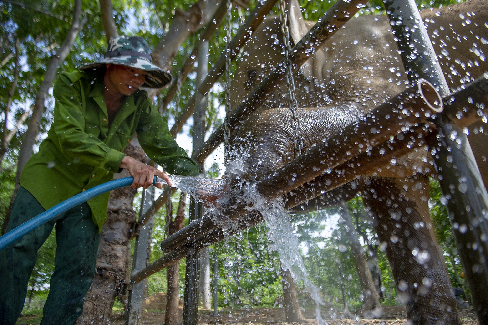 Cuu ho 2 ca the voi Tay Nguyen anh 5