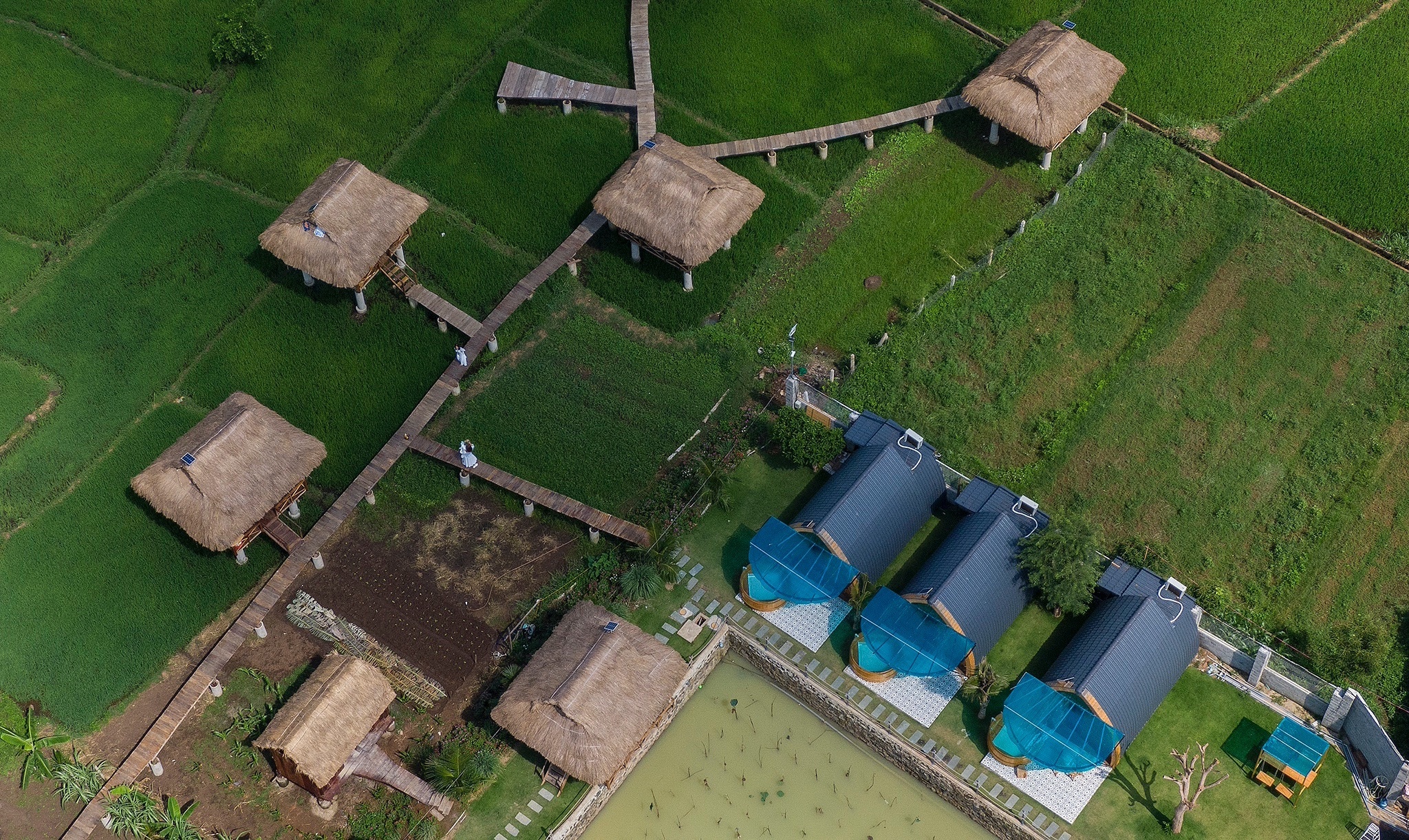 Khu du lich khong phep moc len giua ruong hinh anh