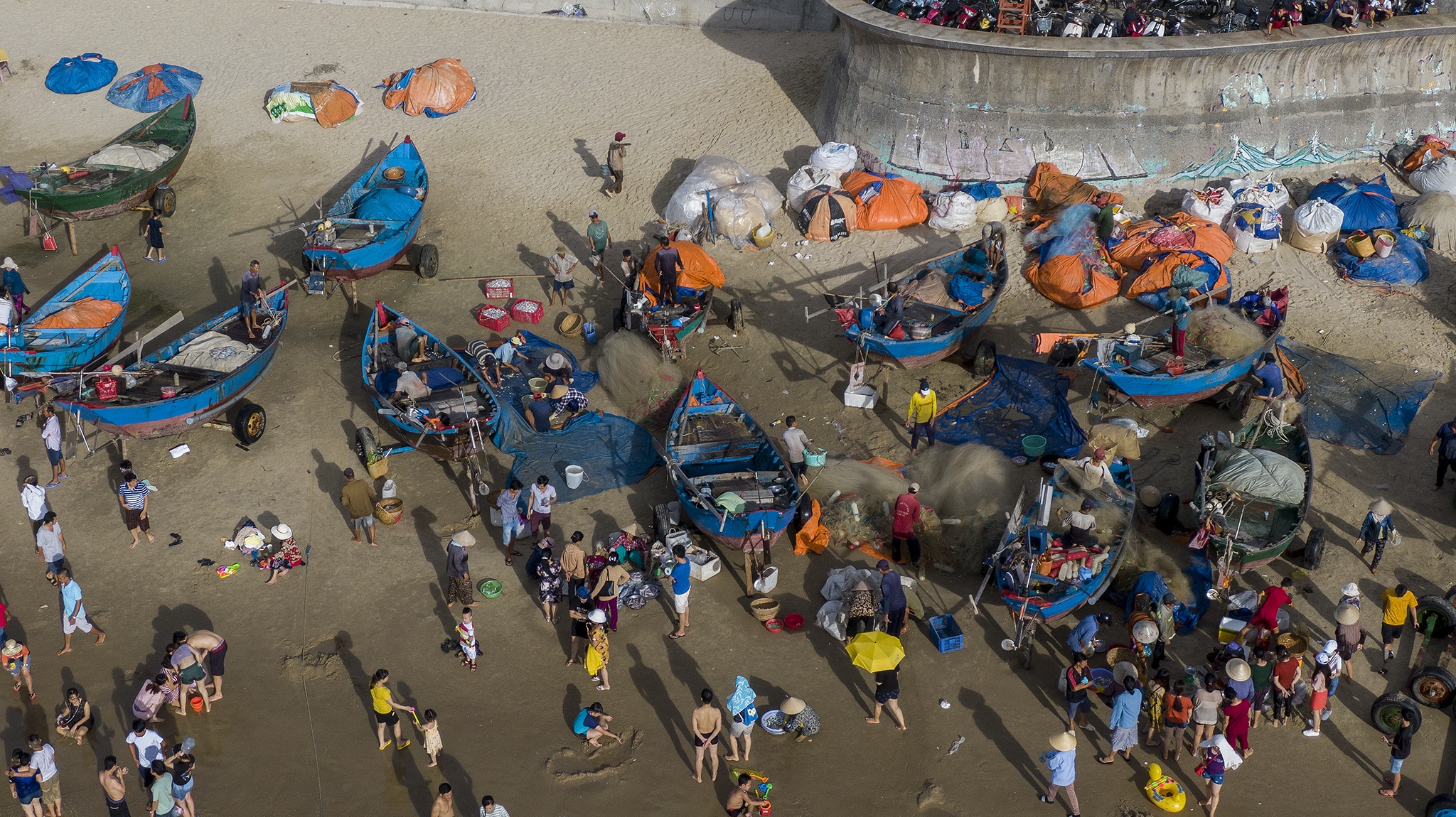 Can canh cho ca giua bai tam Vung Tau anh 1