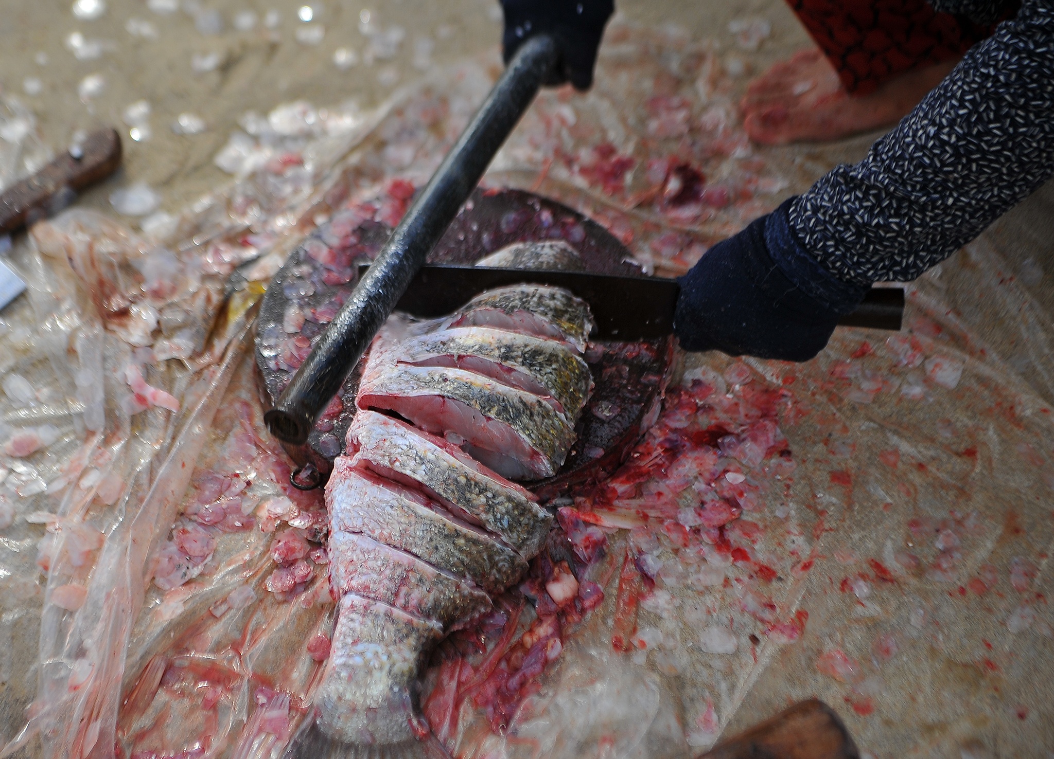 Can canh cho ca giua bai tam Vung Tau anh 6