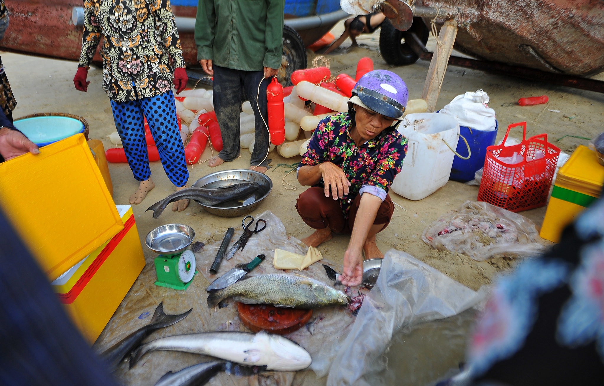 Can canh cho ca giua bai tam Vung Tau anh 5