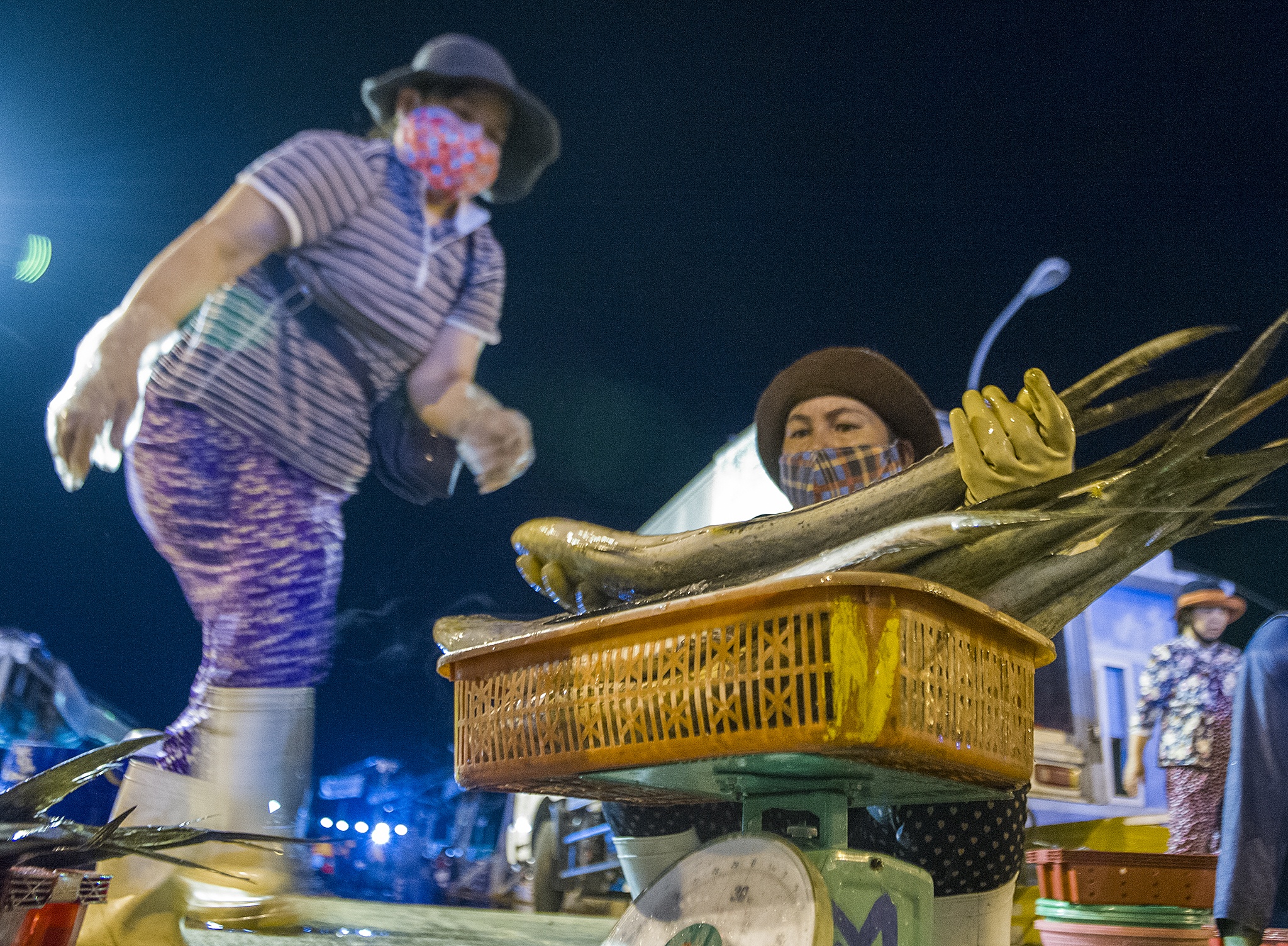 Cang ca lon nhat Da Nang hoat dong the nao giua dich? hinh anh