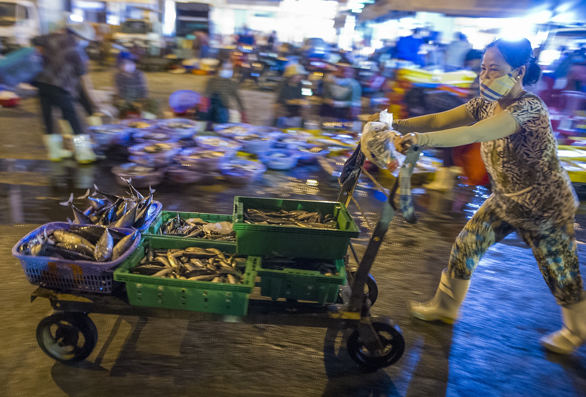 Cang ca lon nhat mien Trung nhon nhip anh 4