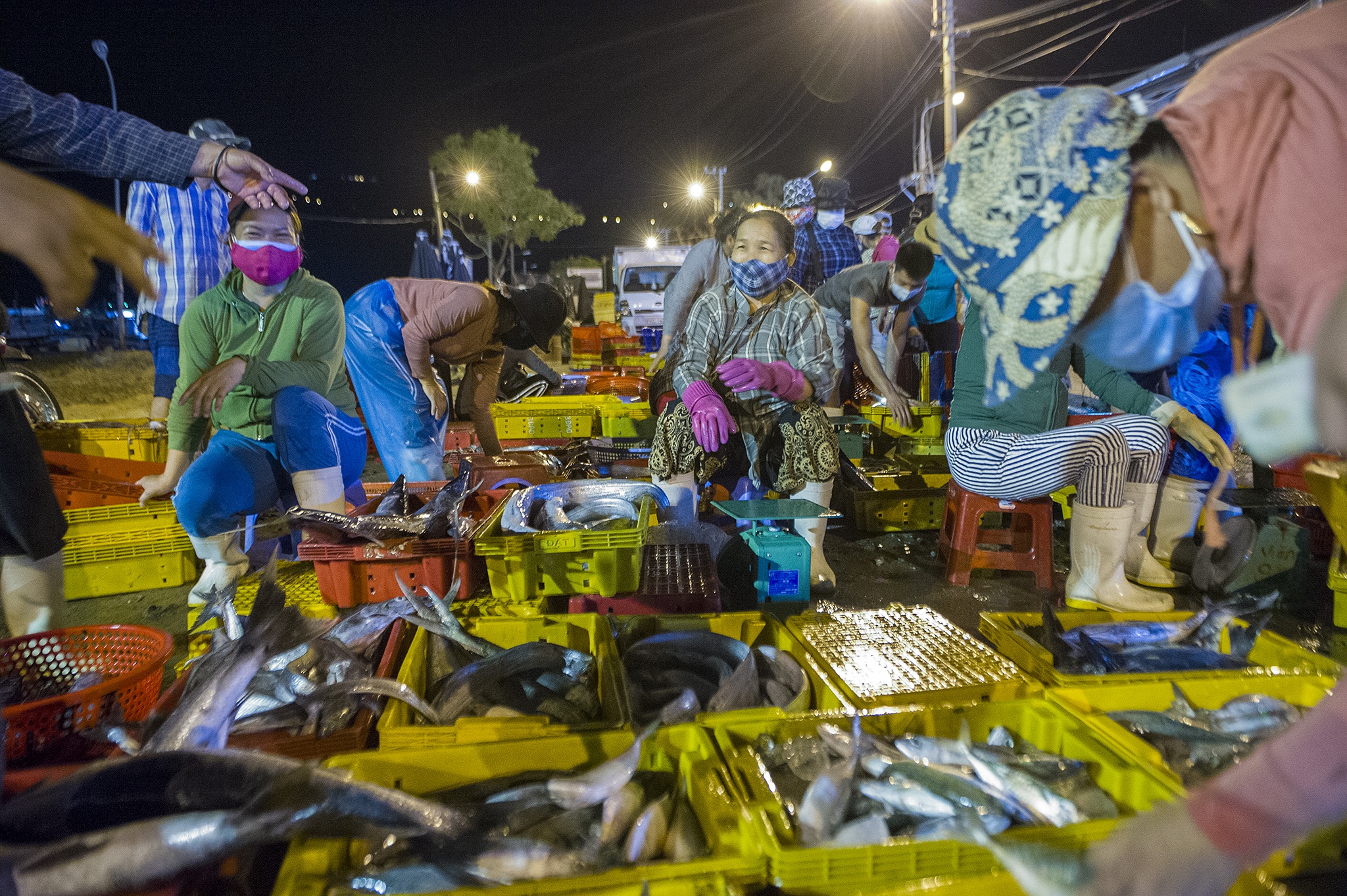 Cang ca lon nhat mien Trung nhon nhip anh 3