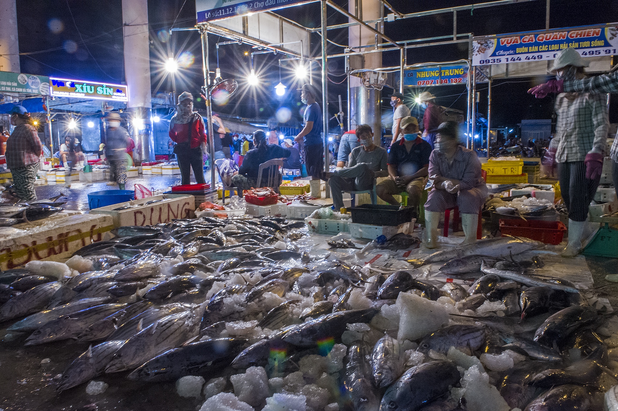 Cang ca lon nhat mien Trung nhon nhip anh 8