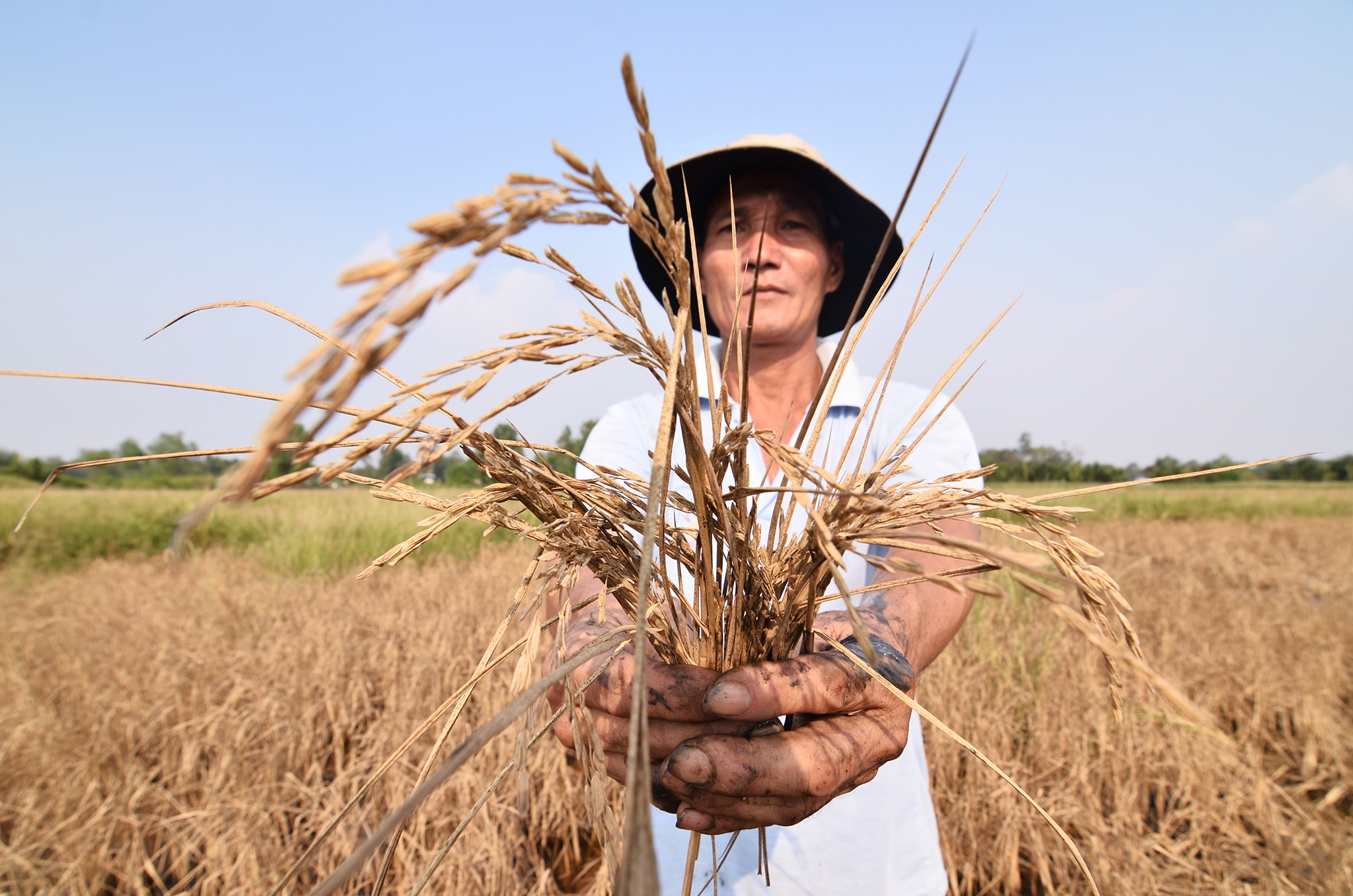 Cong ngan man Cai Lon - Cai Be anh 11