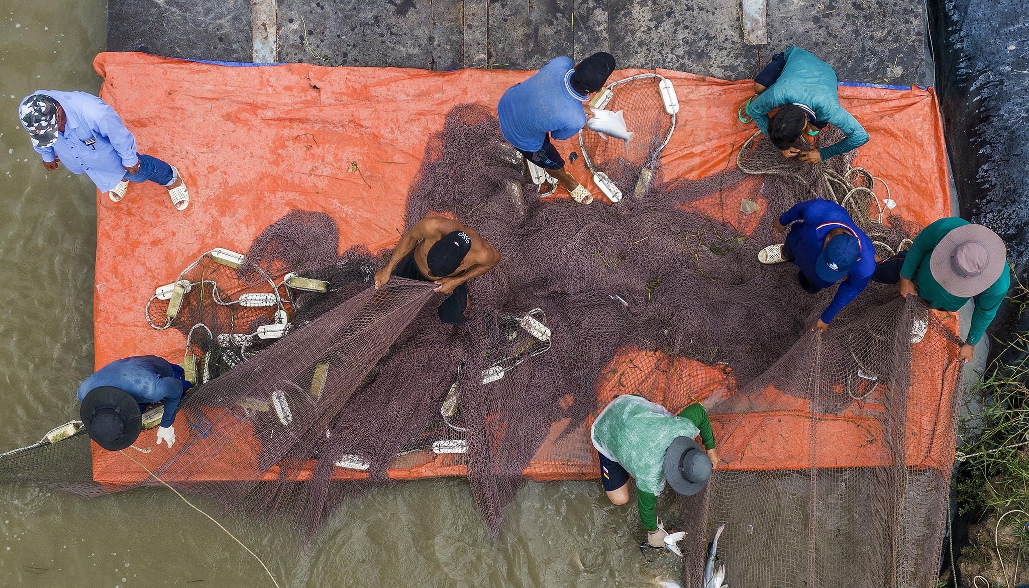 Xuat khau ca tra gap kho anh 8