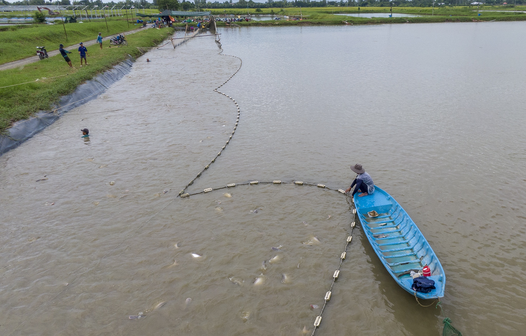 Xuat khau ca tra gap kho anh 9