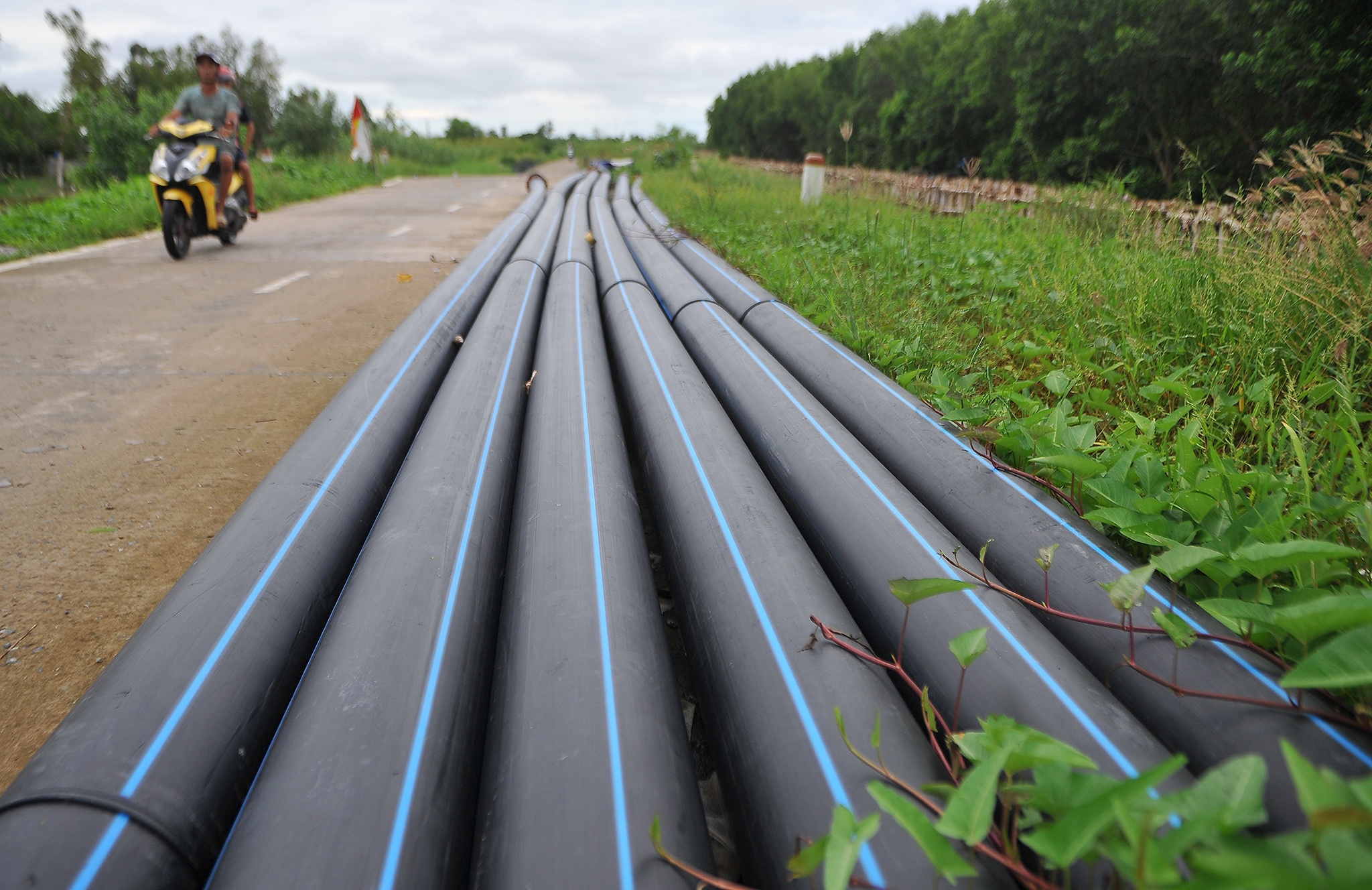 Sat lo nghiem trong de bien Tay anh 9