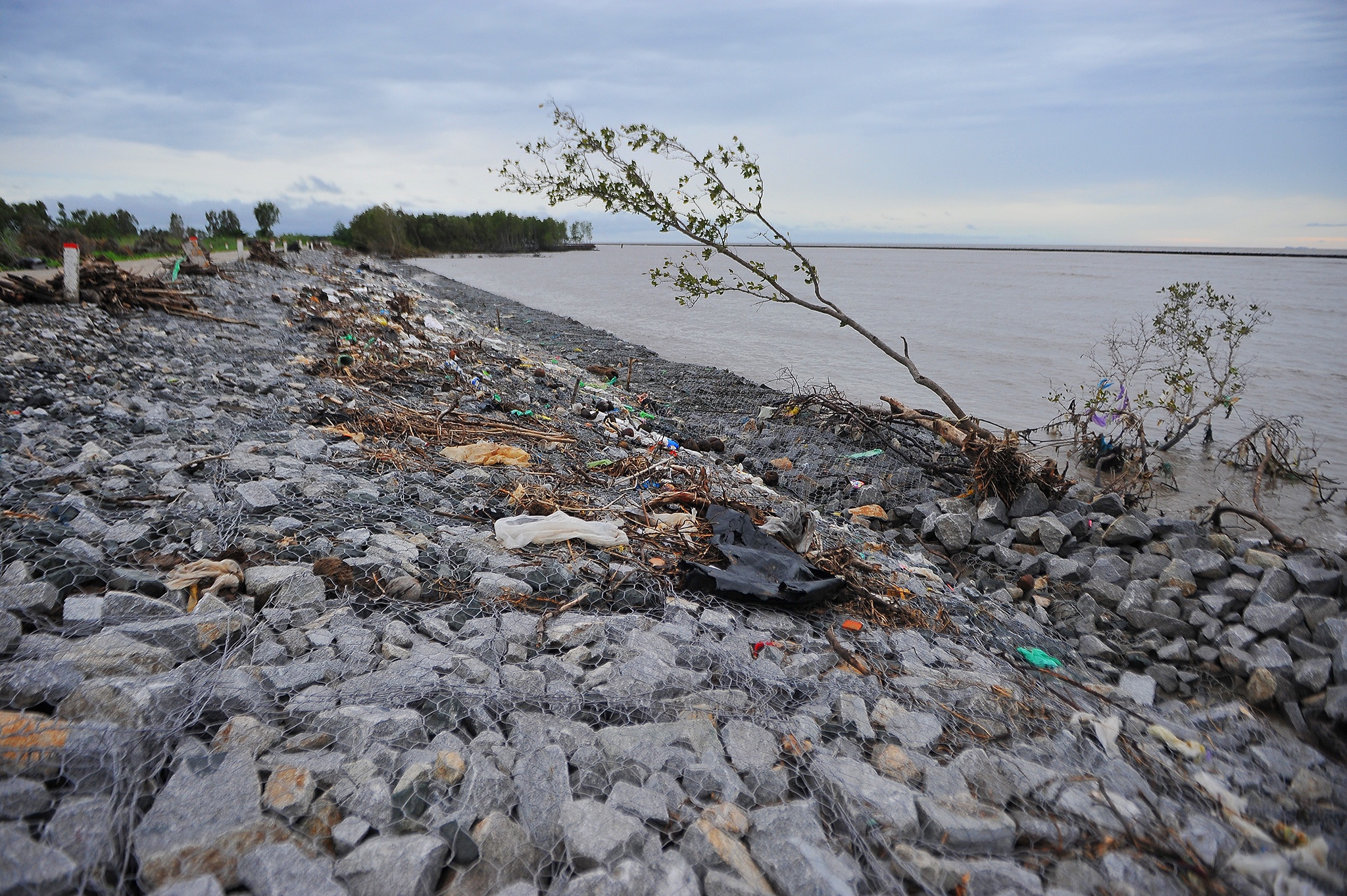 Sat lo nghiem trong de bien Tay anh 4