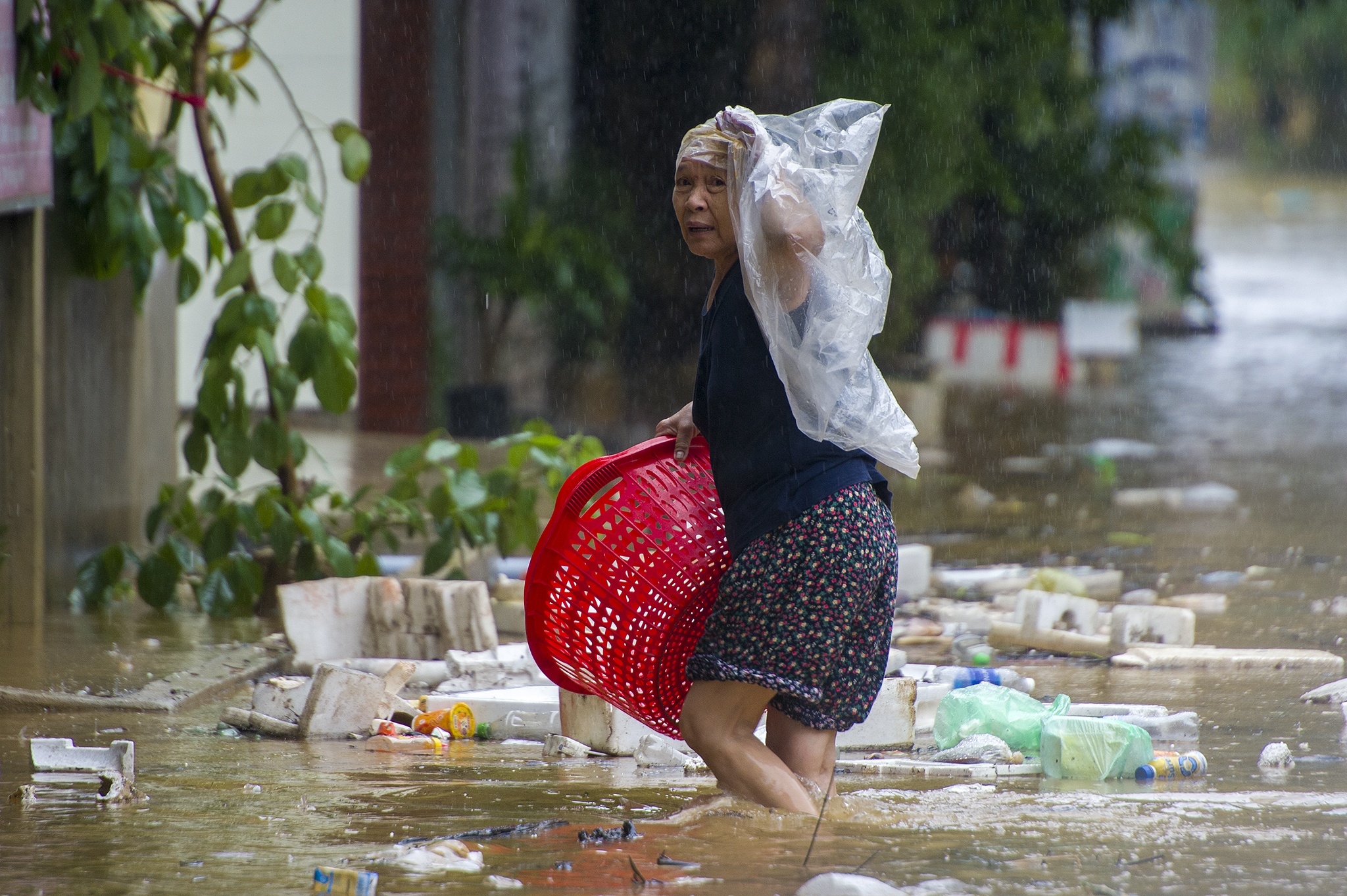 Cuu tro luong thuc tai ton lu Le Thuy anh 9