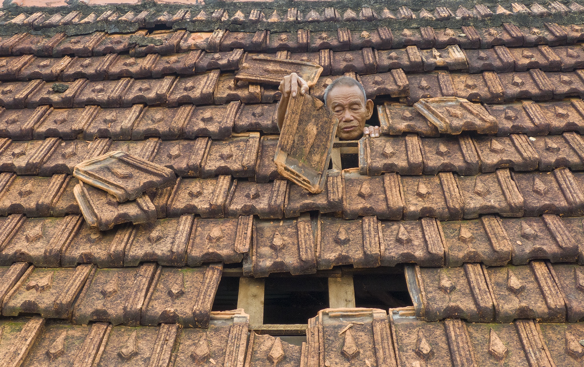 Doi vo chong gia thoat chet sau lu anh 15