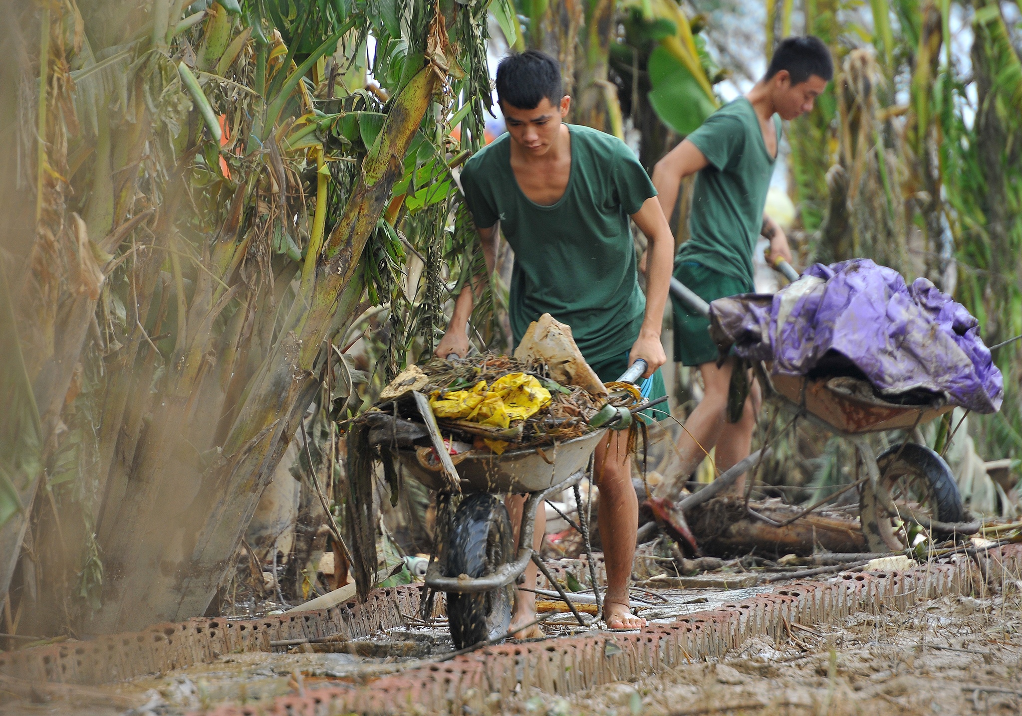 lu lut Quang Binh anh 30