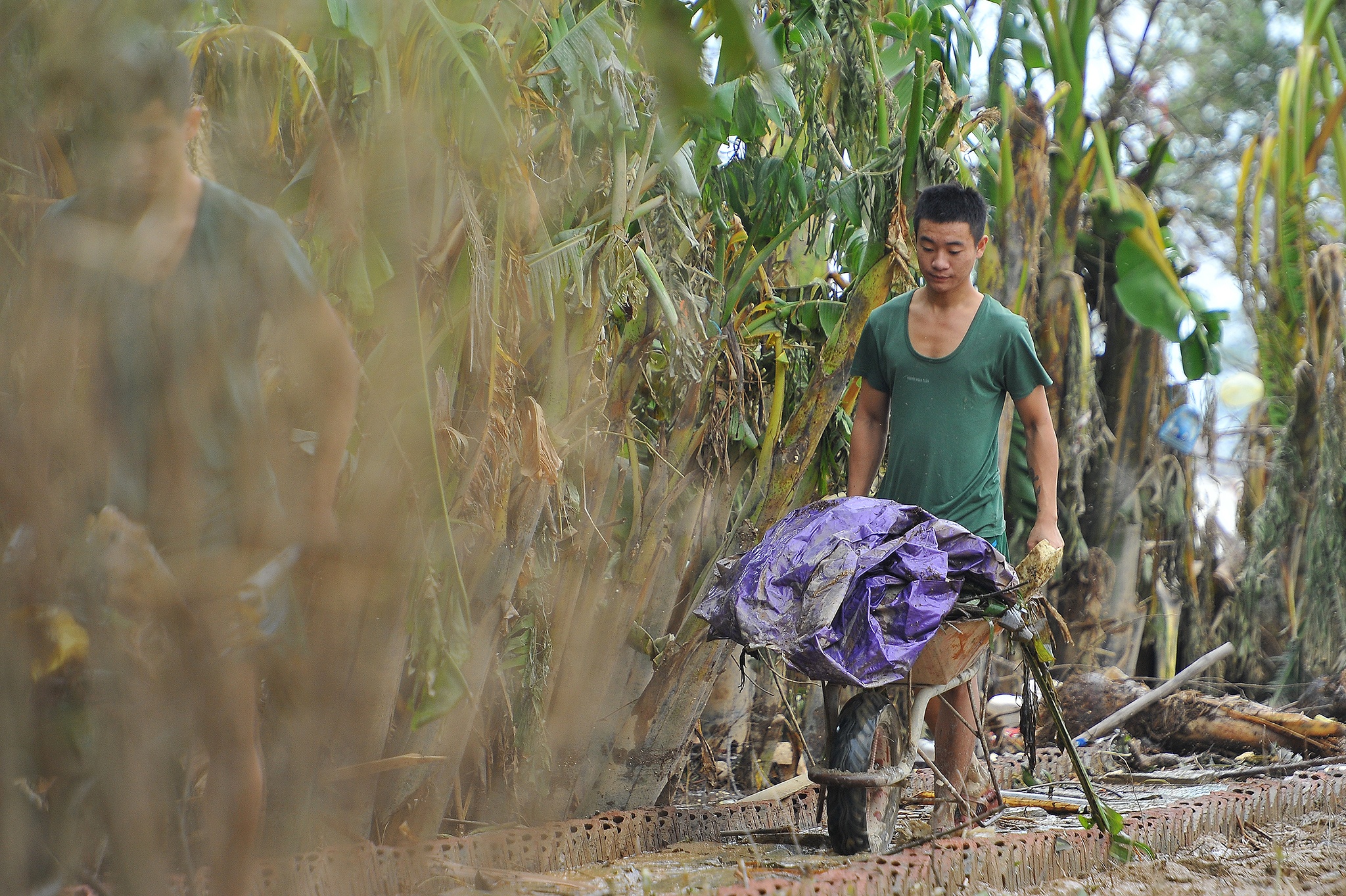Nha luu niem tuong Giap sau bao anh 5