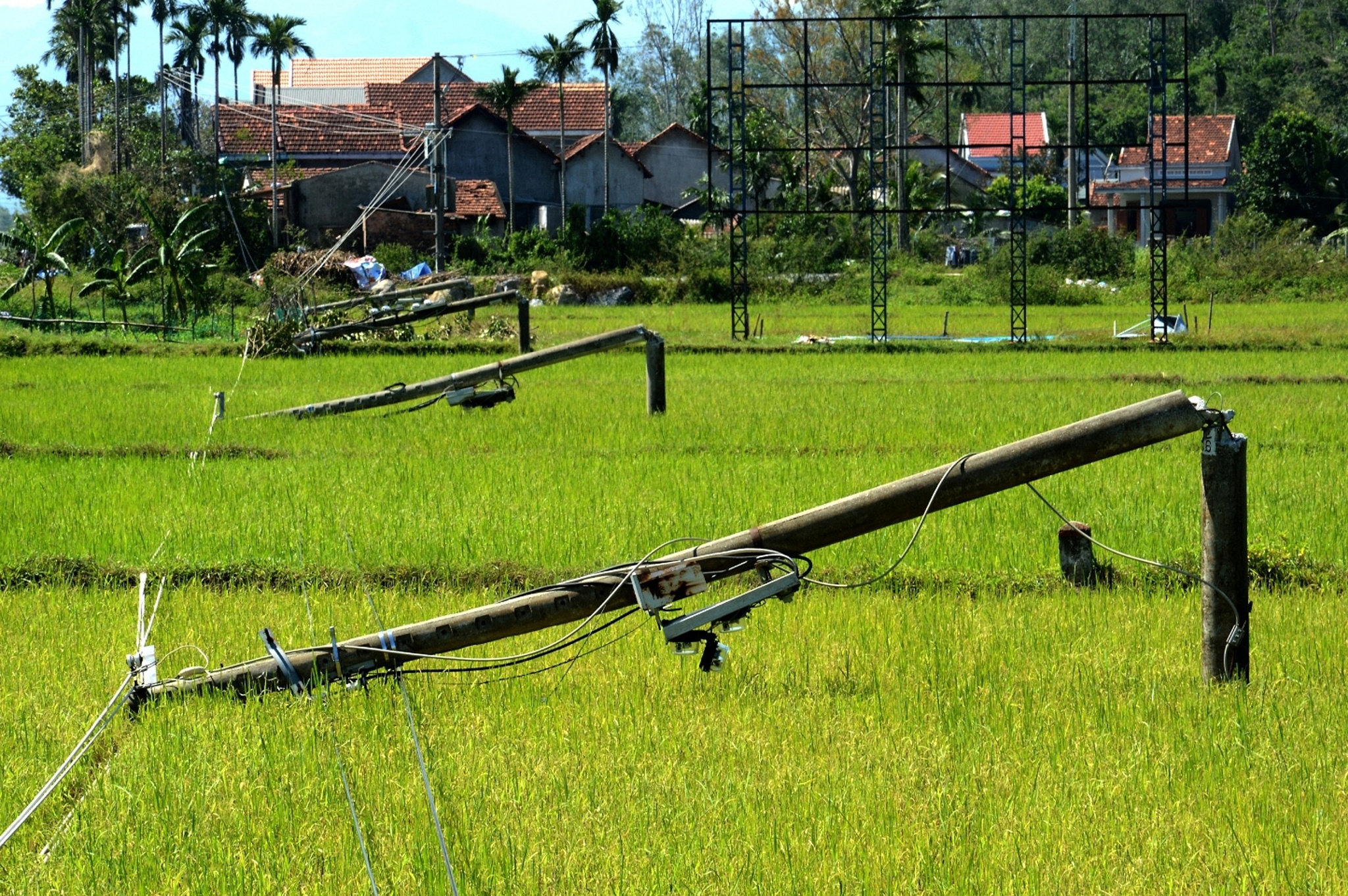 Quảng Ngãi tan hoang sau bão số 9 ảnh 10 Quang Ngai tan hoang sau bao so 9 anh 10