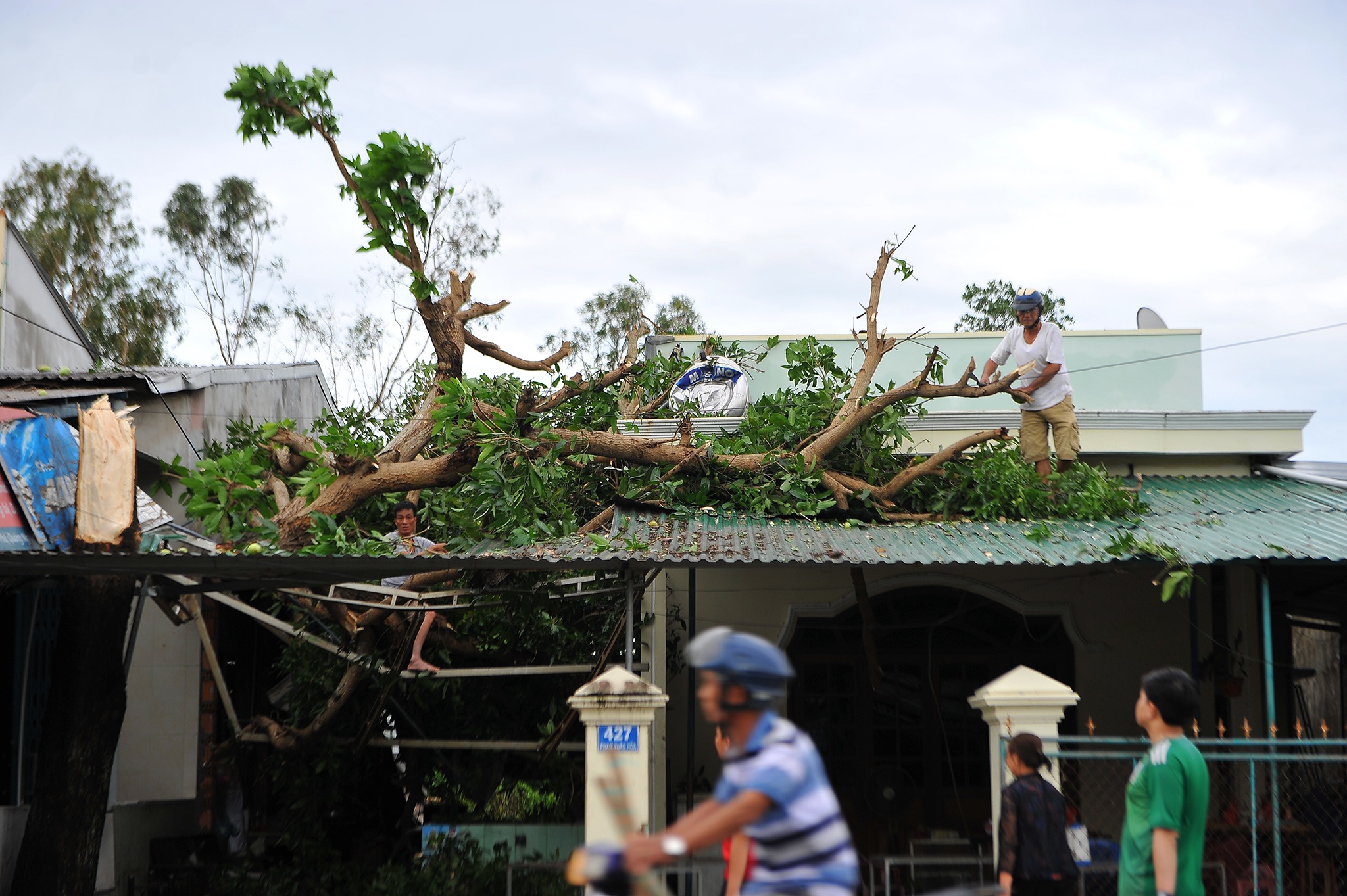 Quảng Ngãi tan hoang sau bão số 9 ảnh 27 Quang Ngai tan hoang sau bao so 9 anh 27