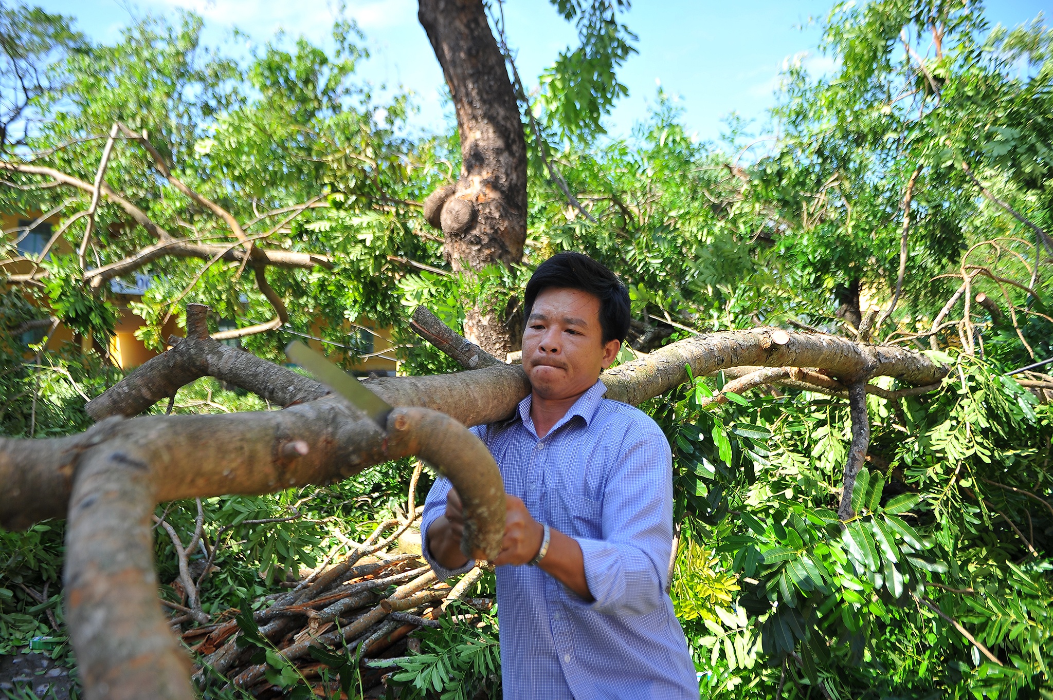 Quang Ngai tan hoang sau bao so 9 anh 22