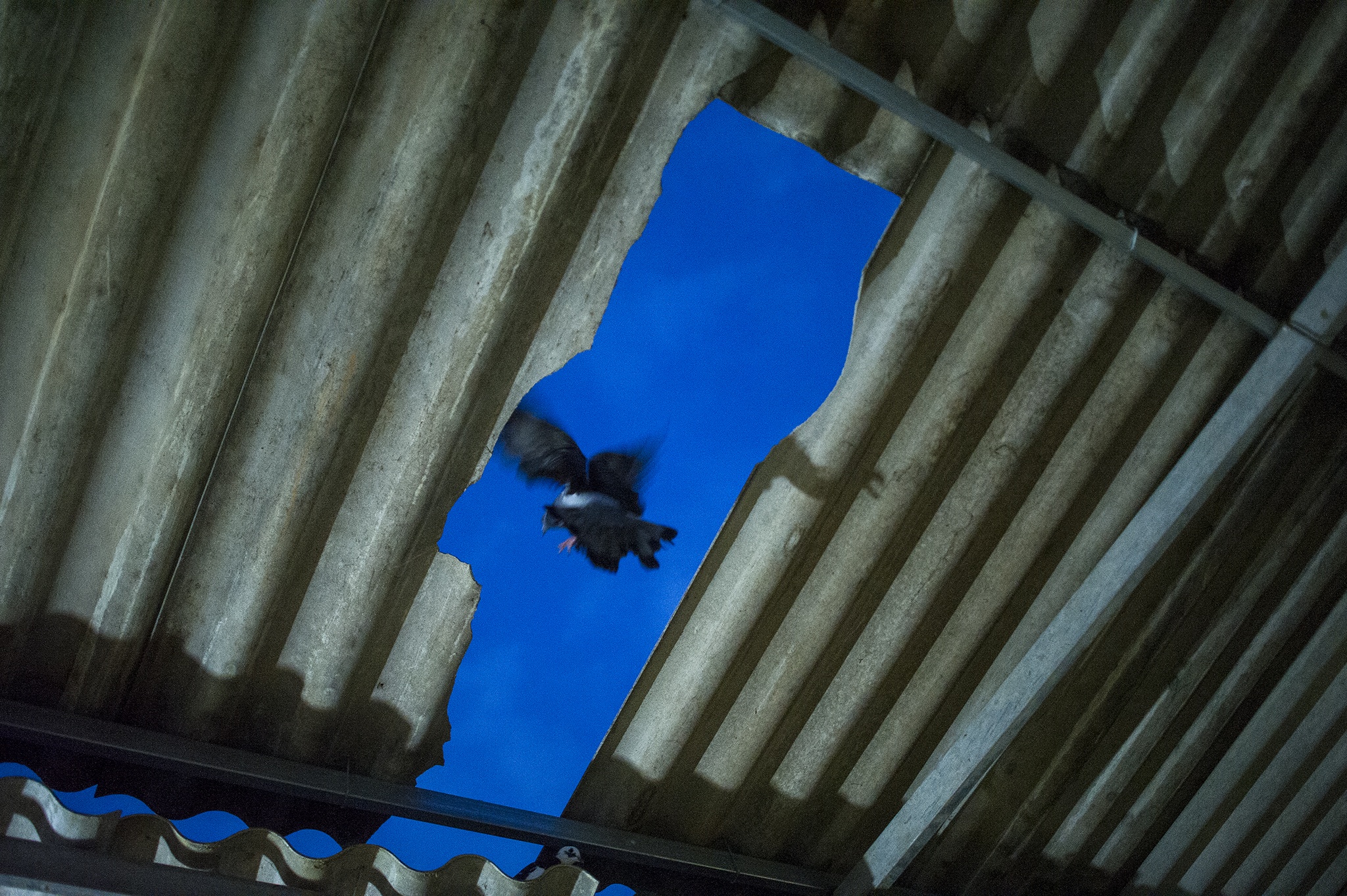 Quang Ngai tan hoang sau bao so 9 anh 3