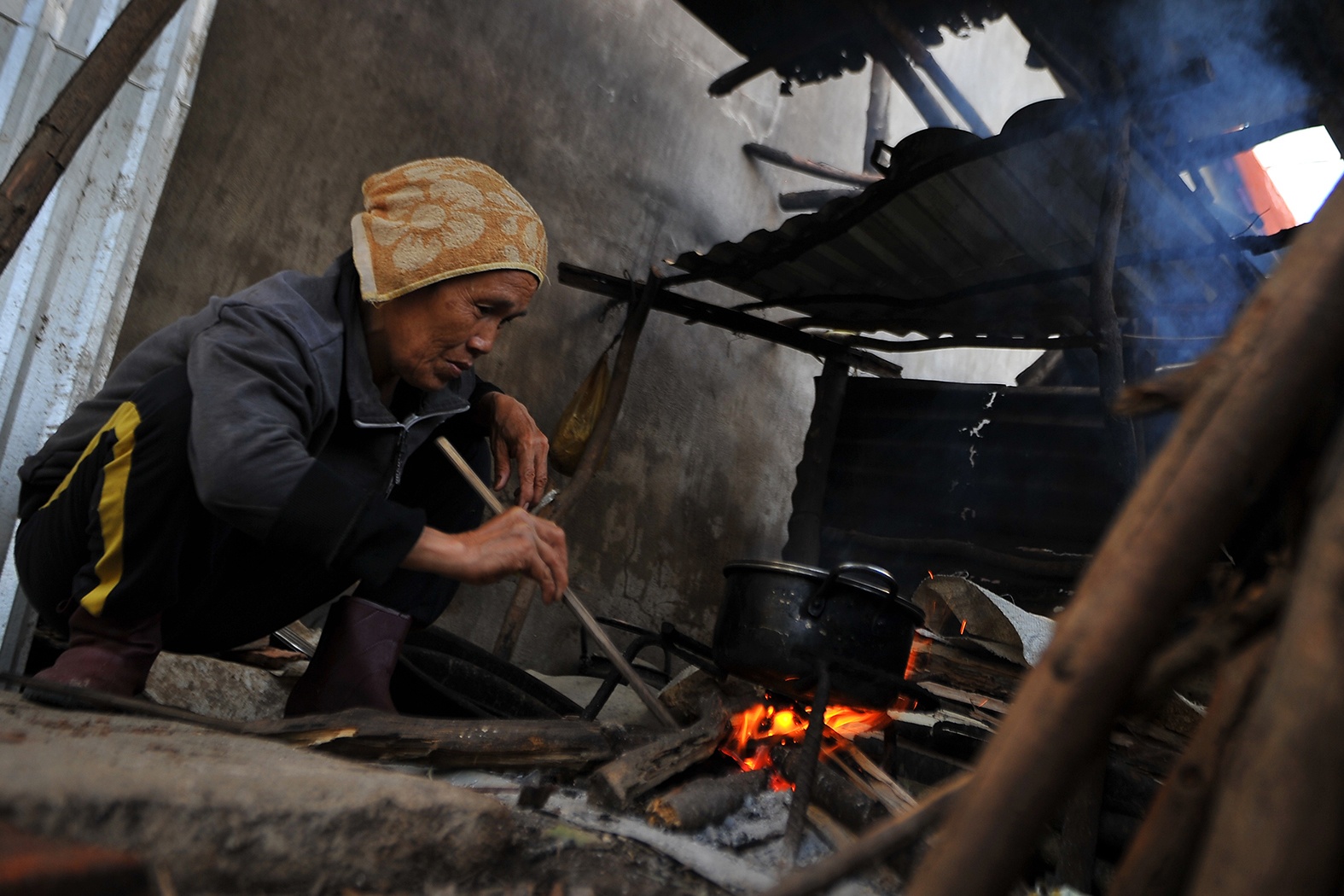 Ta tuc trong chuong bo vi bao cuon bay mai nha hinh anh