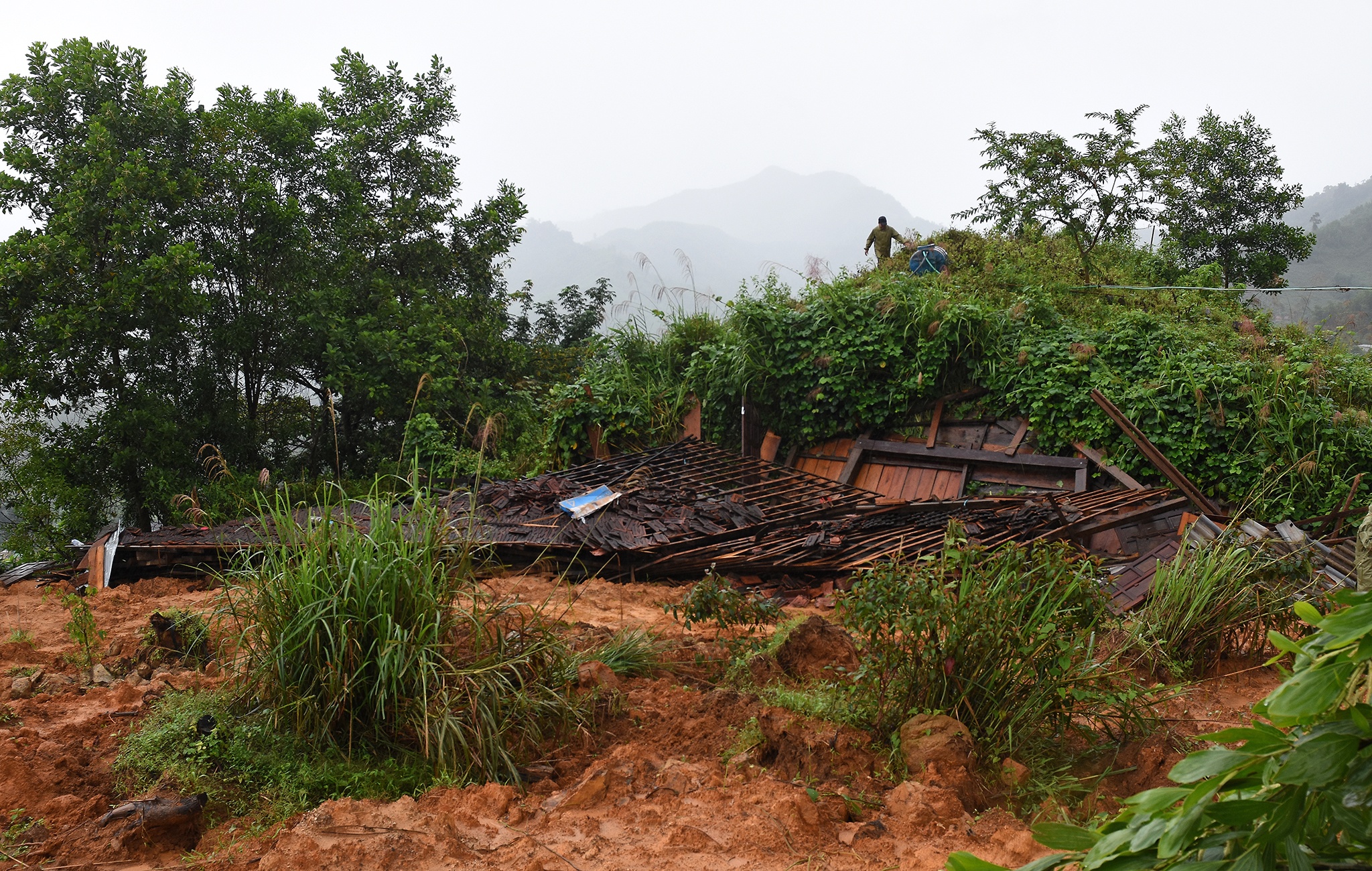 Di doi dan tranh bao so 10 anh 9