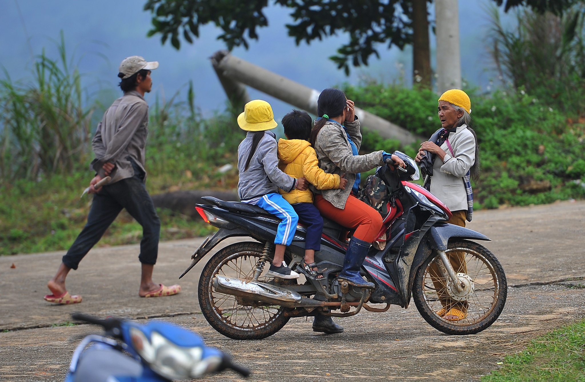 Di doi dan tranh bao so 10 anh 5