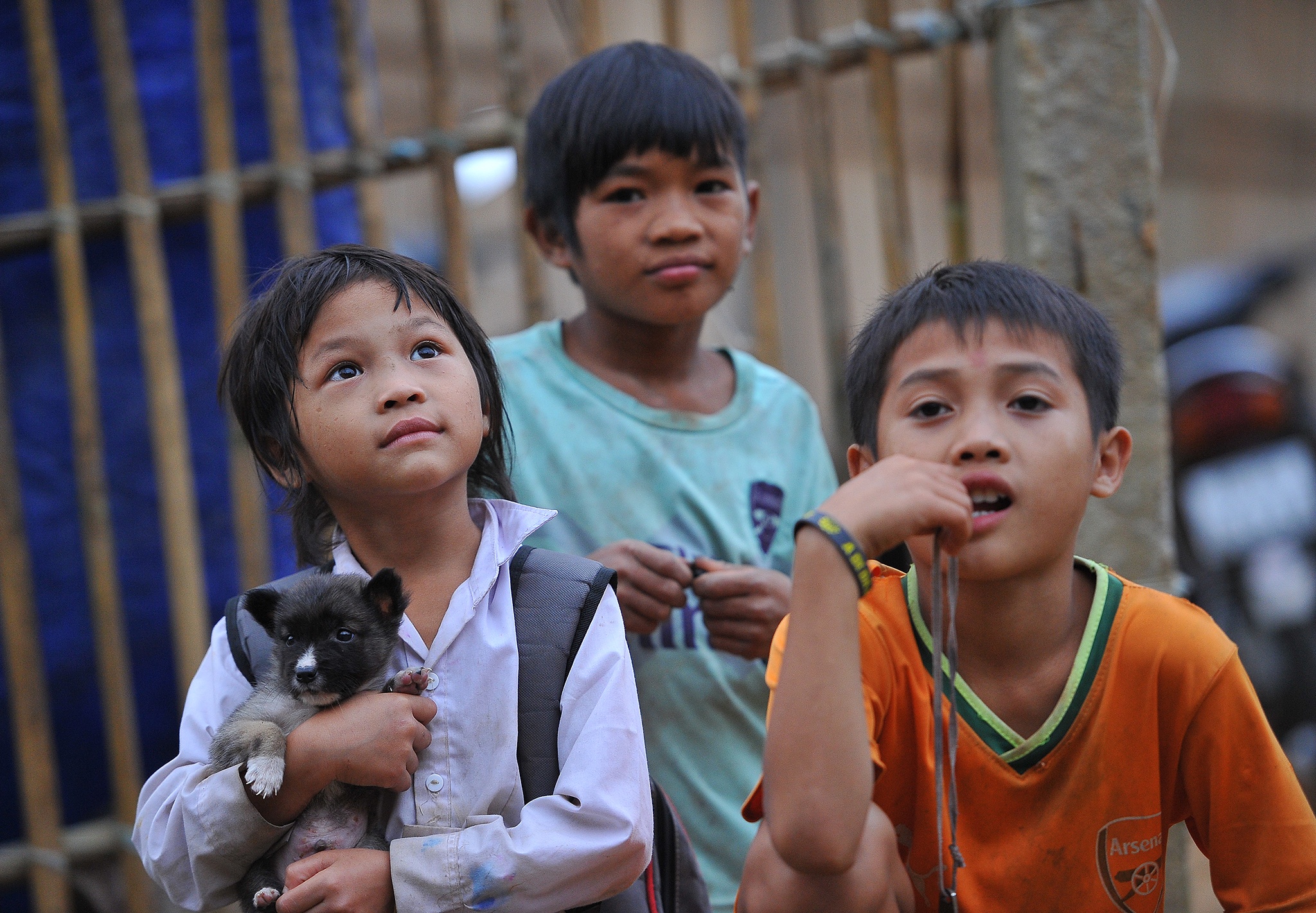 Di doi dan tranh bao so 10 anh 7