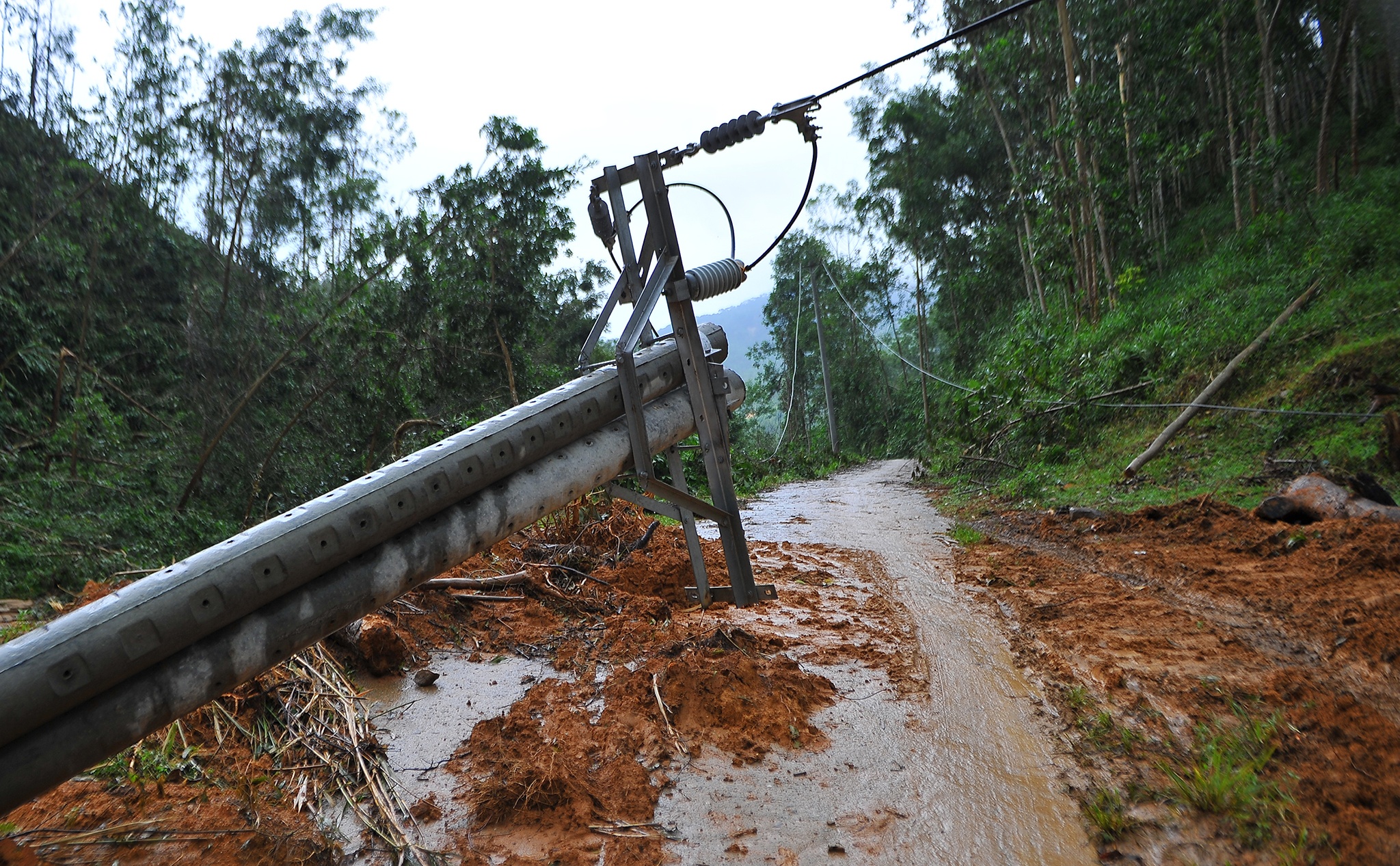 dan Mang He thap thom don bao so 10 anh 3