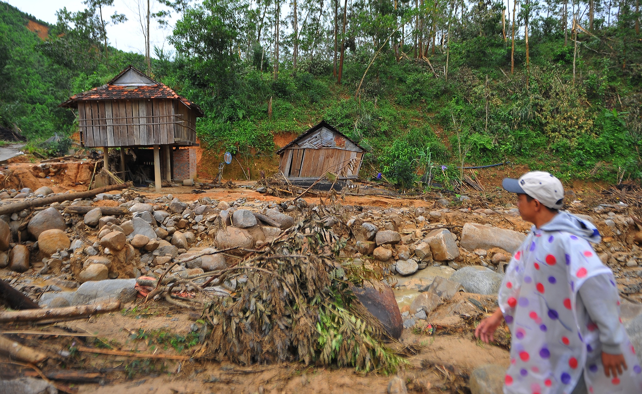 dan Mang He thap thom don bao so 10 anh 4